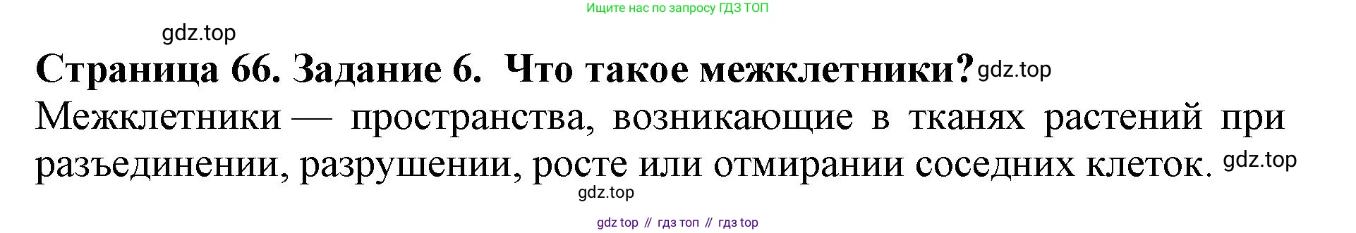ГДЗ Биология, 6 класс Учебник, авторы: Пасечник Владимир Васильевич, Суматохин Сергей Витальевич, Гапонюк Зоя Георгиевна, Швецов Глеб Геннадьевич, издательство Просвещение, Москва, 2023, белого цвета, страница 66, номер 6, Решение 1