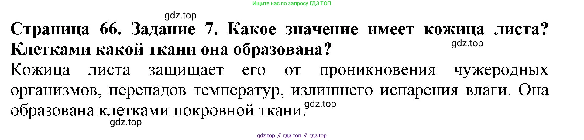 ГДЗ Биология, 6 класс Учебник, авторы: Пасечник Владимир Васильевич, Суматохин Сергей Витальевич, Гапонюк Зоя Георгиевна, Швецов Глеб Геннадьевич, издательство Просвещение, Москва, 2023, белого цвета, страница 66, номер 7, Решение 1