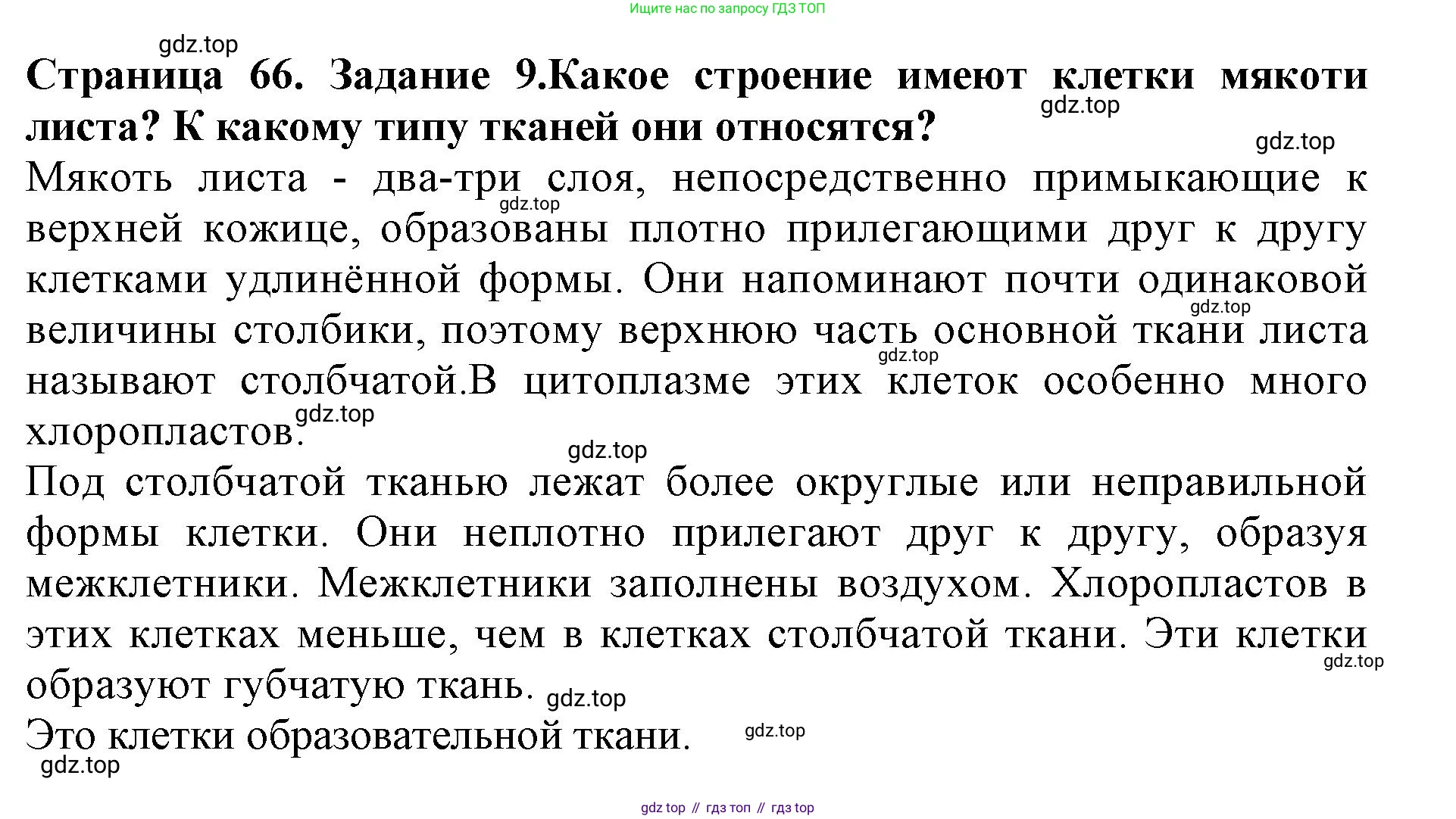 ГДЗ Биология, 6 класс Учебник, авторы: Пасечник Владимир Васильевич, Суматохин Сергей Витальевич, Гапонюк Зоя Георгиевна, Швецов Глеб Геннадьевич, издательство Просвещение, Москва, 2023, белого цвета, страница 66, номер 9, Решение 1