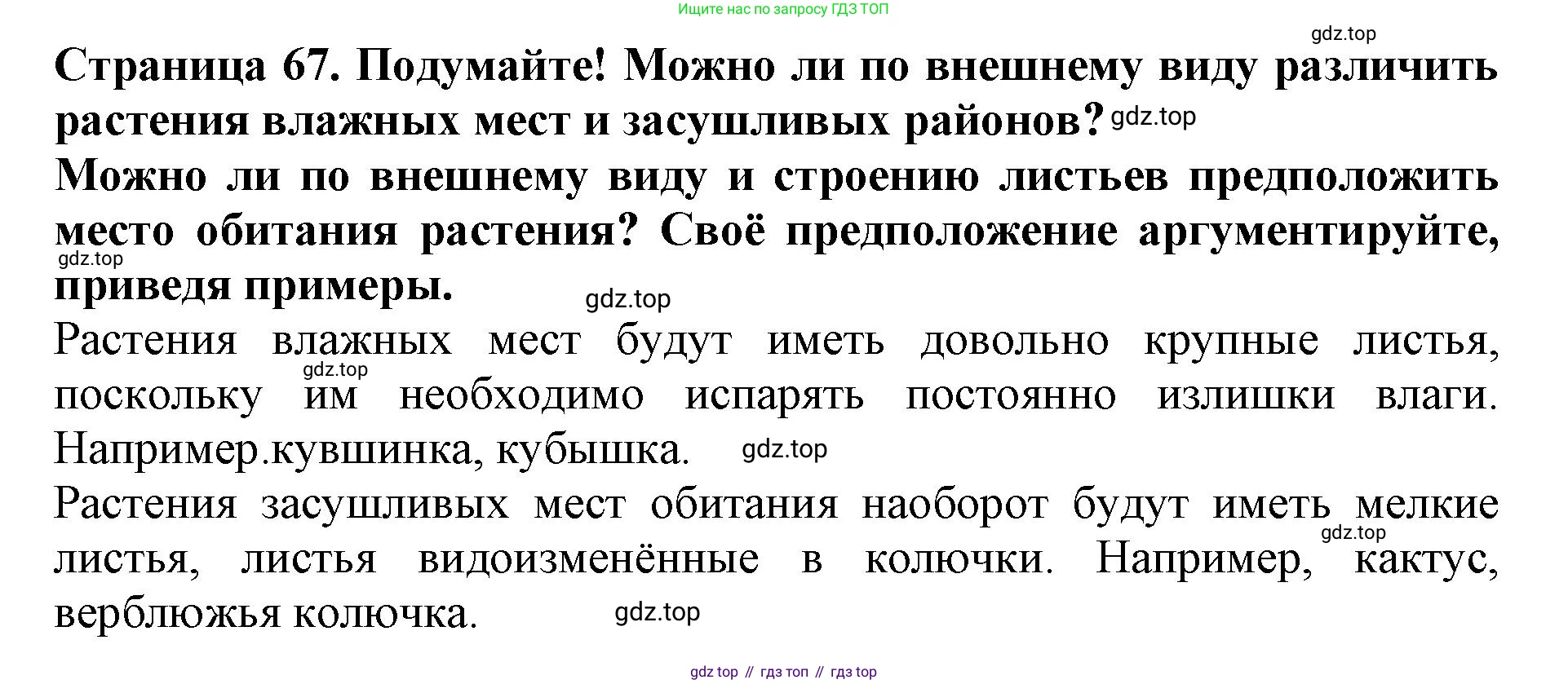 ГДЗ Биология, 6 класс Учебник, авторы: Пасечник Владимир Васильевич, Суматохин Сергей Витальевич, Гапонюк Зоя Георгиевна, Швецов Глеб Геннадьевич, издательство Просвещение, Москва, 2023, белого цвета, страница 67, Решение 1