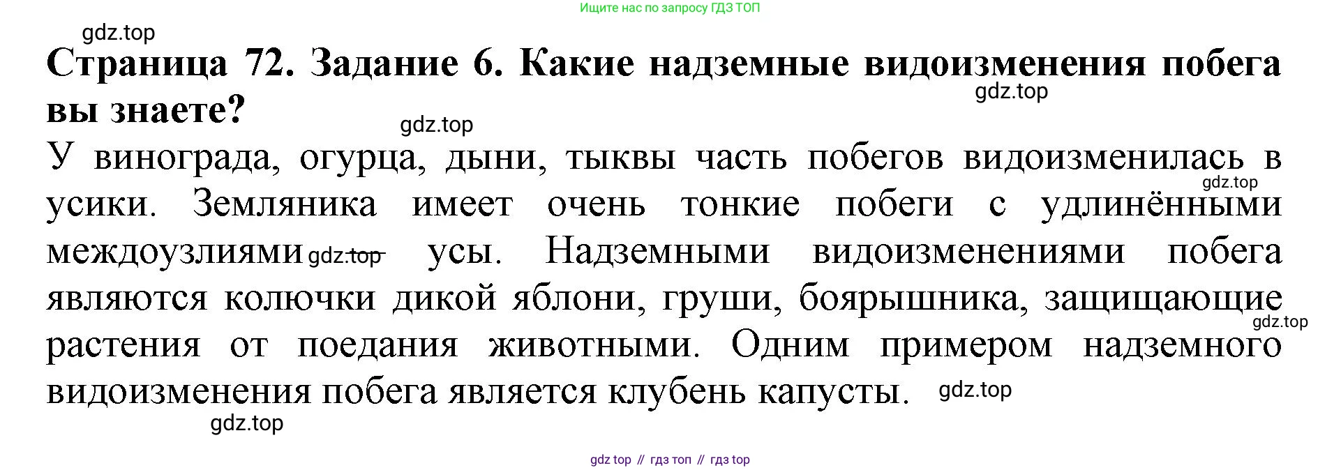ГДЗ Биология, 6 класс Учебник, авторы: Пасечник Владимир Васильевич, Суматохин Сергей Витальевич, Гапонюк Зоя Георгиевна, Швецов Глеб Геннадьевич, издательство Просвещение, Москва, 2023, белого цвета, страница 72, номер 6, Решение 1