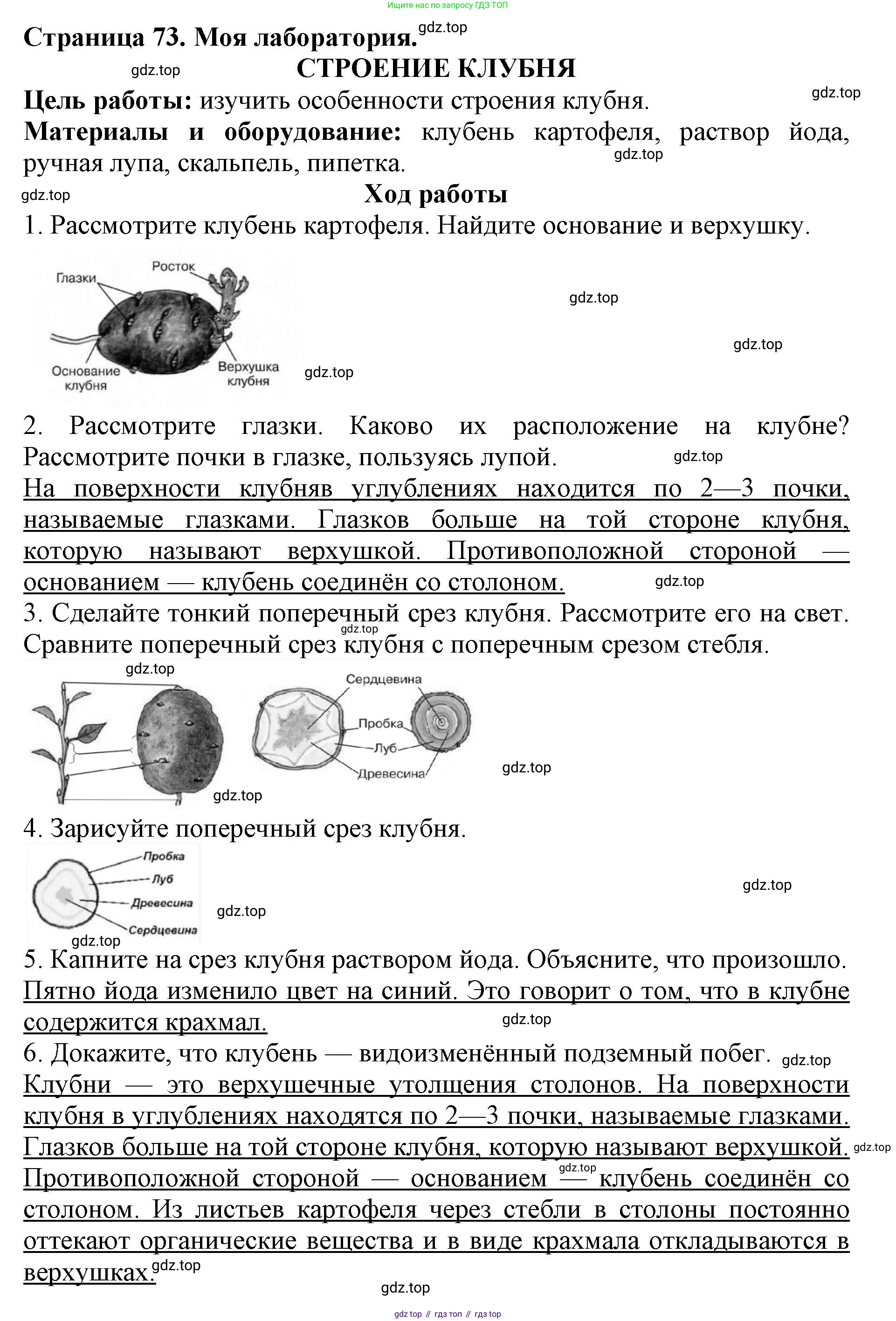 Биология, 6 класс Учебник, авторы: Пасечник Владимир Васильевич, Суматохин Сергей Витальевич, Гапонюк Зоя Георгиевна, Швецов Глеб Геннадьевич, издательство Просвещение, Москва, 2023, белого цвета, страница 73, Решение 1