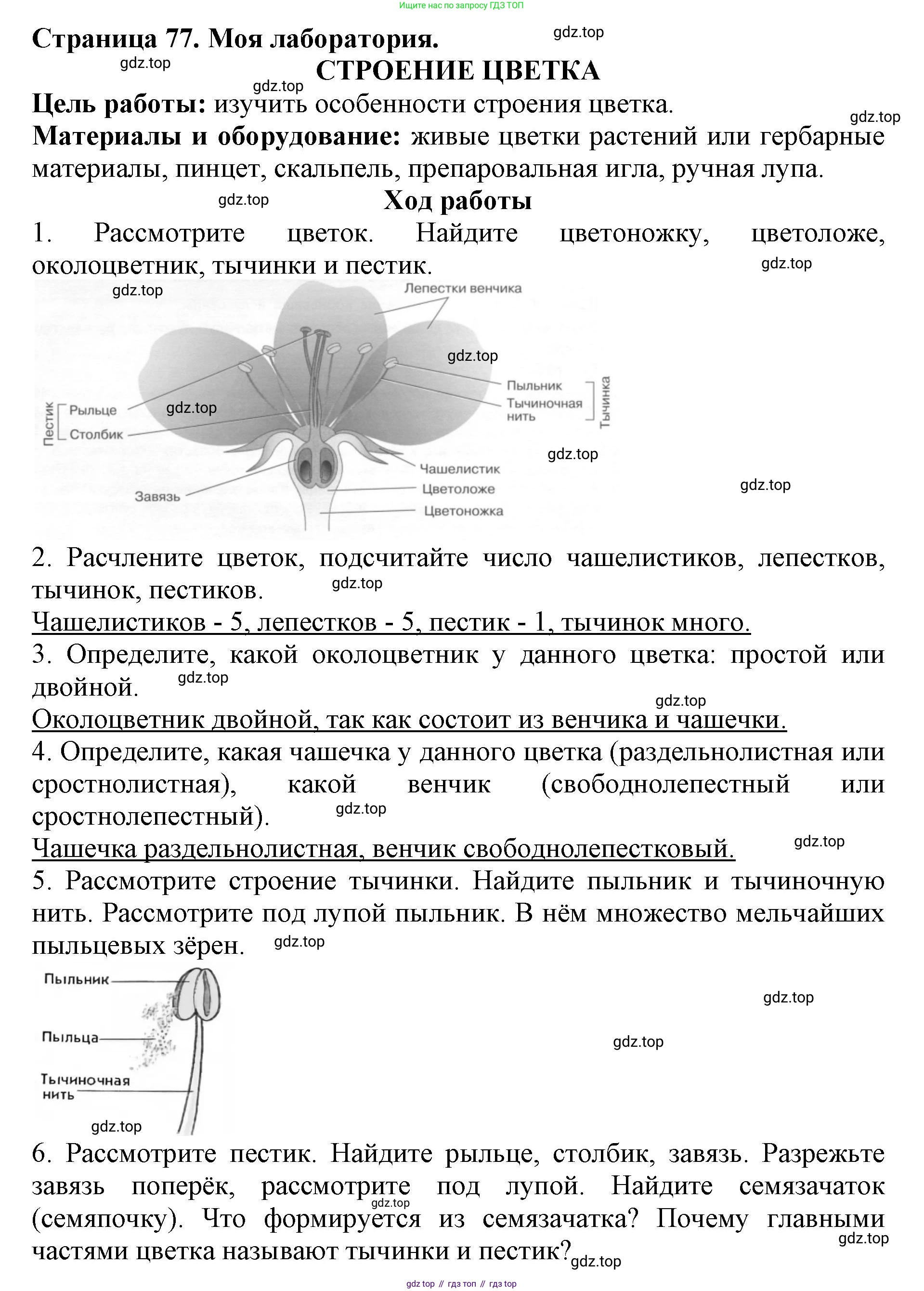 ГДЗ Биология, 6 класс Учебник, авторы: Пасечник Владимир Васильевич, Суматохин Сергей Витальевич, Гапонюк Зоя Георгиевна, Швецов Глеб Геннадьевич, издательство Просвещение, Москва, 2023, белого цвета, страница 77, Решение 1