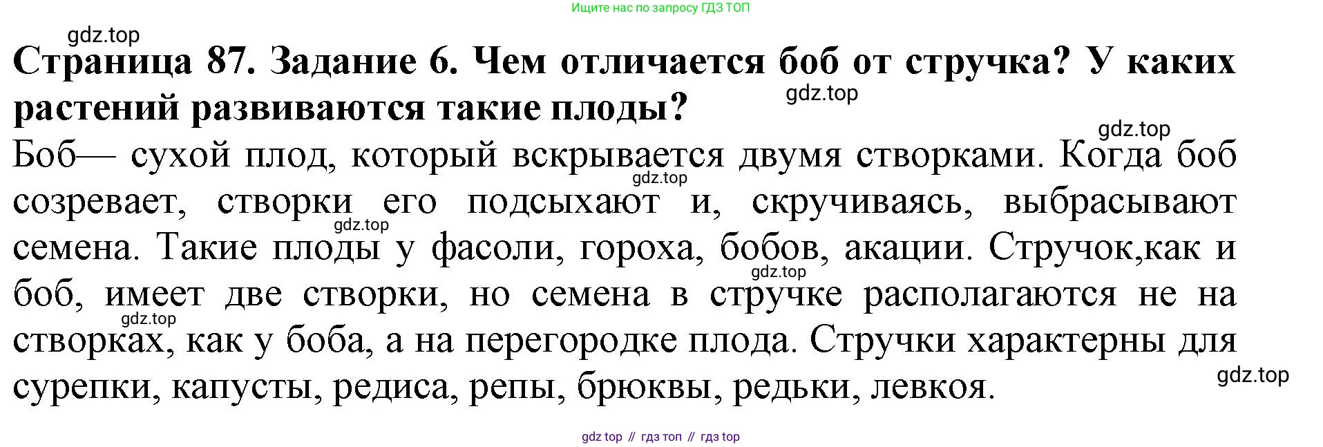 ГДЗ Биология, 6 класс Учебник, авторы: Пасечник Владимир Васильевич, Суматохин Сергей Витальевич, Гапонюк Зоя Георгиевна, Швецов Глеб Геннадьевич, издательство Просвещение, Москва, 2023, белого цвета, страница 87, номер 6, Решение 1