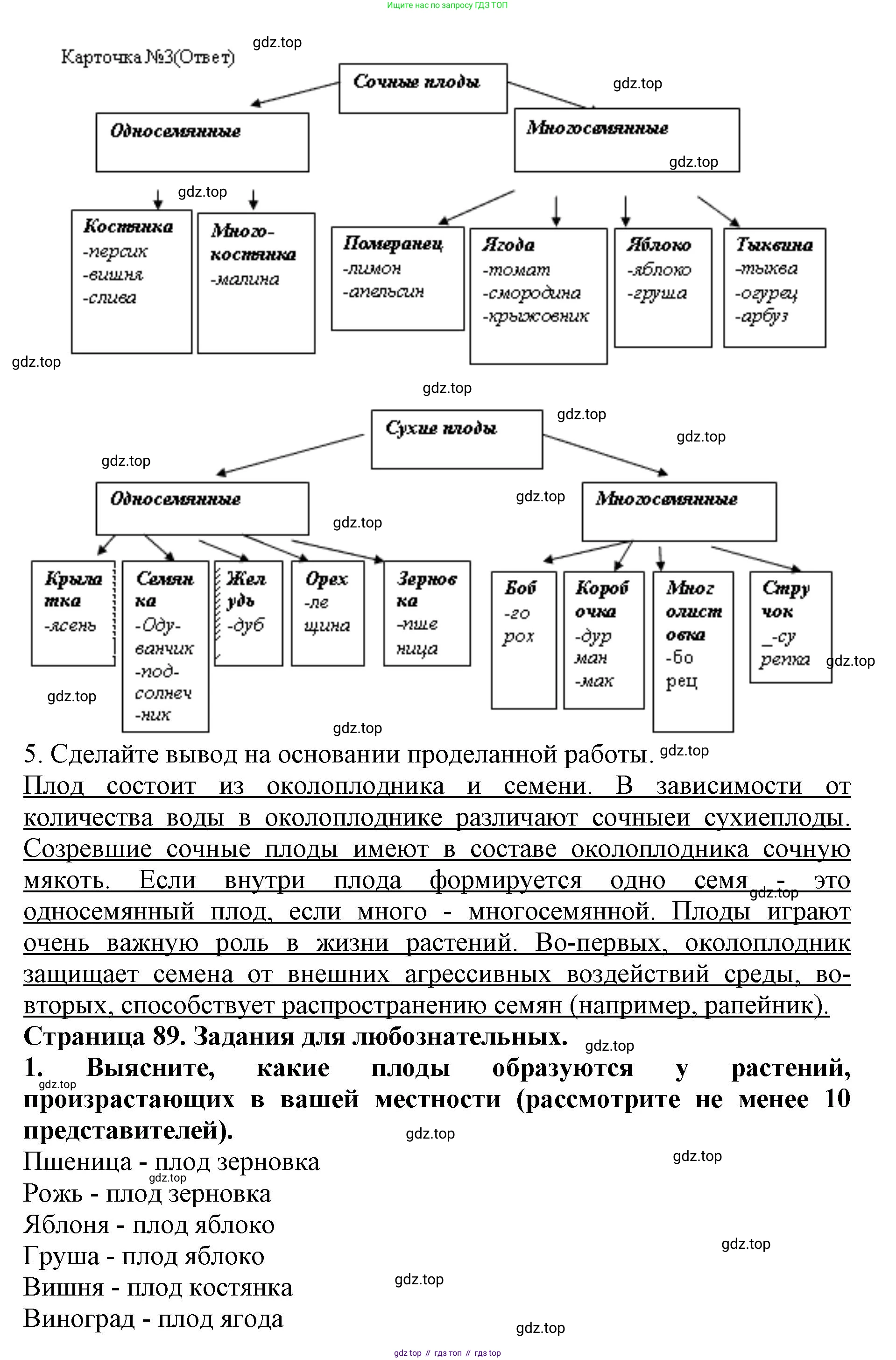 ГДЗ Биология, 6 класс Учебник, авторы: Пасечник Владимир Васильевич, Суматохин Сергей Витальевич, Гапонюк Зоя Георгиевна, Швецов Глеб Геннадьевич, издательство Просвещение, Москва, 2023, белого цвета, страница 88, Решение 1 (продолжение 3)