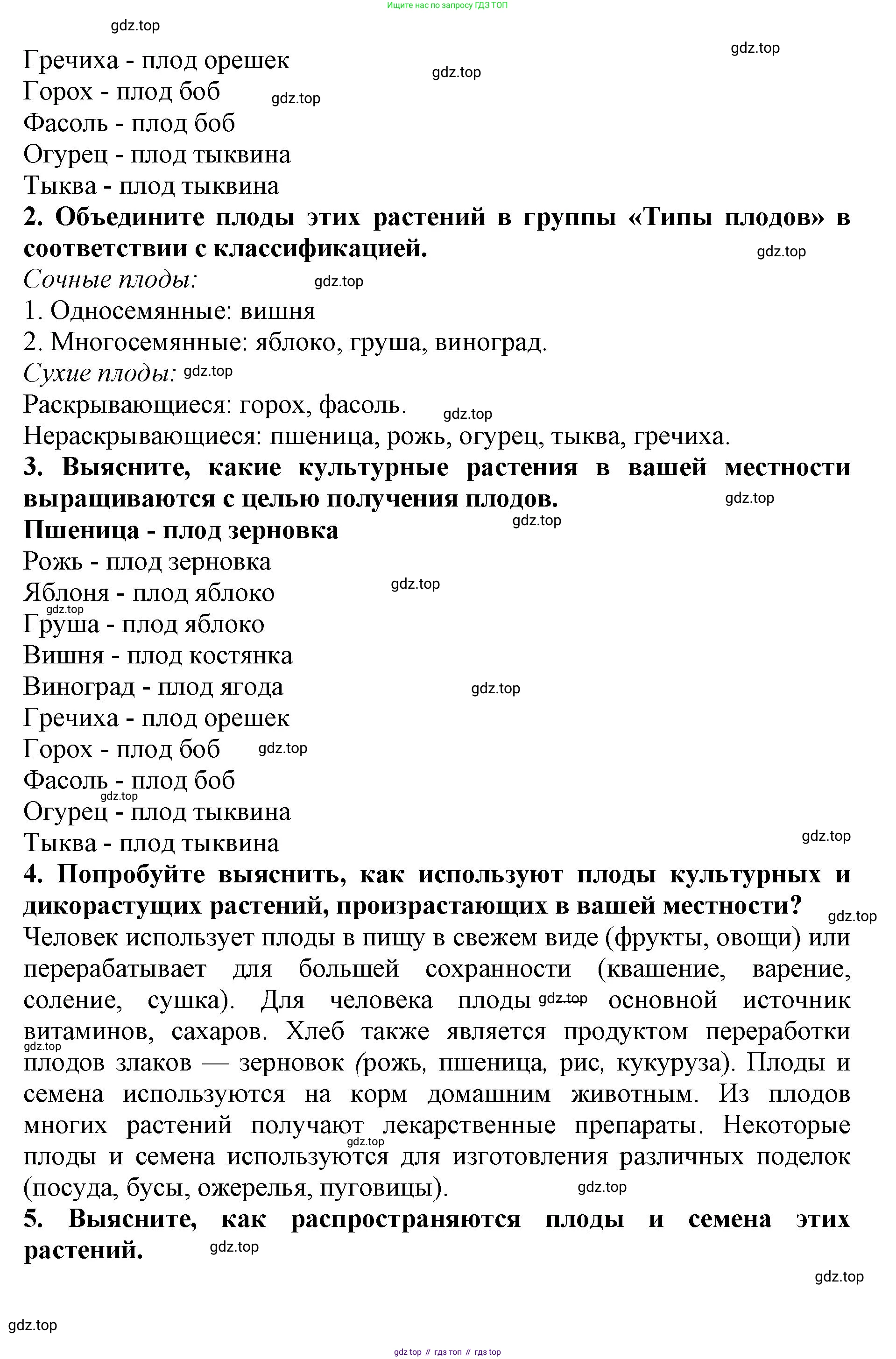ГДЗ Биология, 6 класс Учебник, авторы: Пасечник Владимир Васильевич, Суматохин Сергей Витальевич, Гапонюк Зоя Георгиевна, Швецов Глеб Геннадьевич, издательство Просвещение, Москва, 2023, белого цвета, страница 88, Решение 1 (продолжение 4)