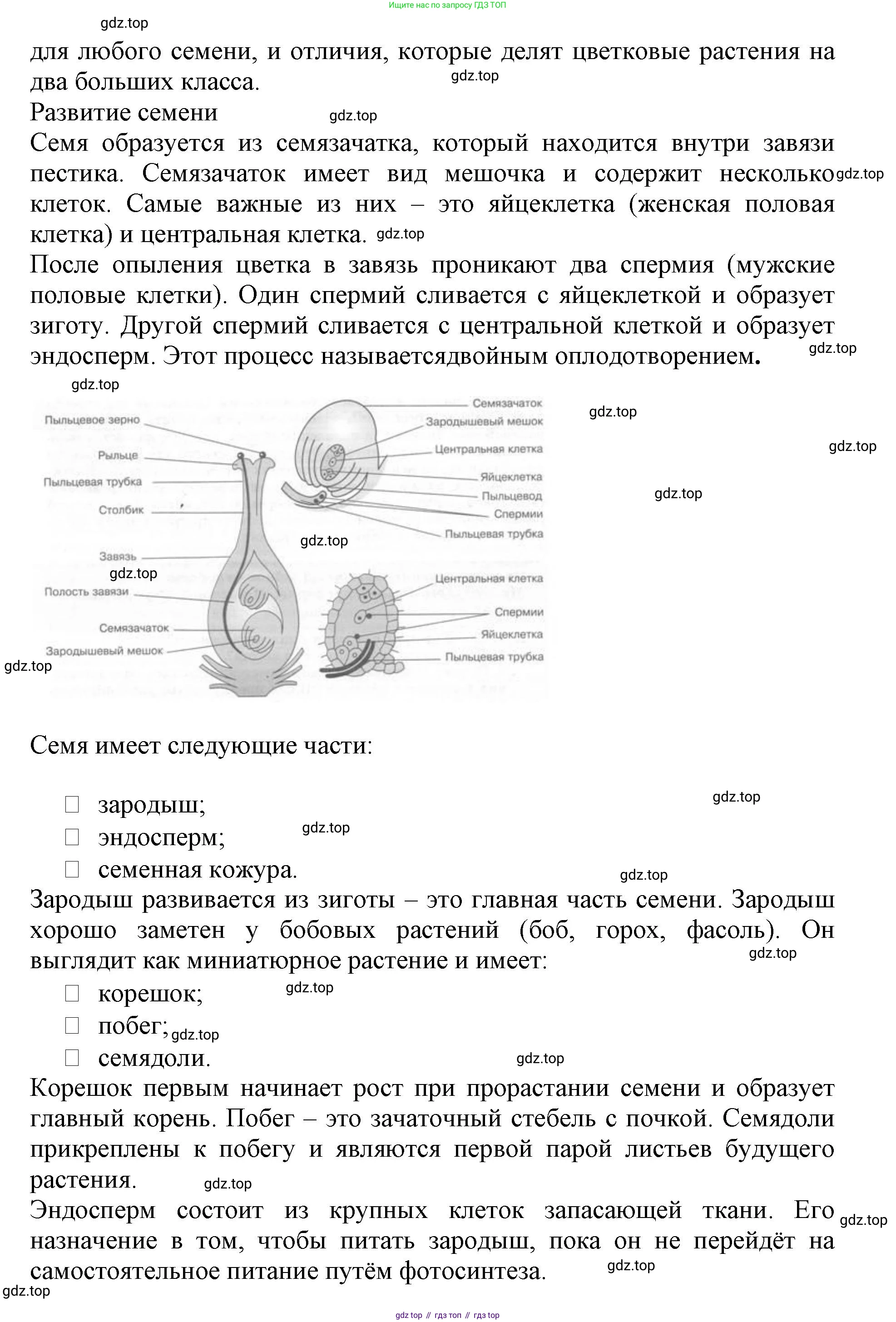 ГДЗ Биология, 6 класс Учебник, авторы: Пасечник Владимир Васильевич, Суматохин Сергей Витальевич, Гапонюк Зоя Георгиевна, Швецов Глеб Геннадьевич, издательство Просвещение, Москва, 2023, белого цвета, страница 90, номер 1, Решение 1 (продолжение 2)