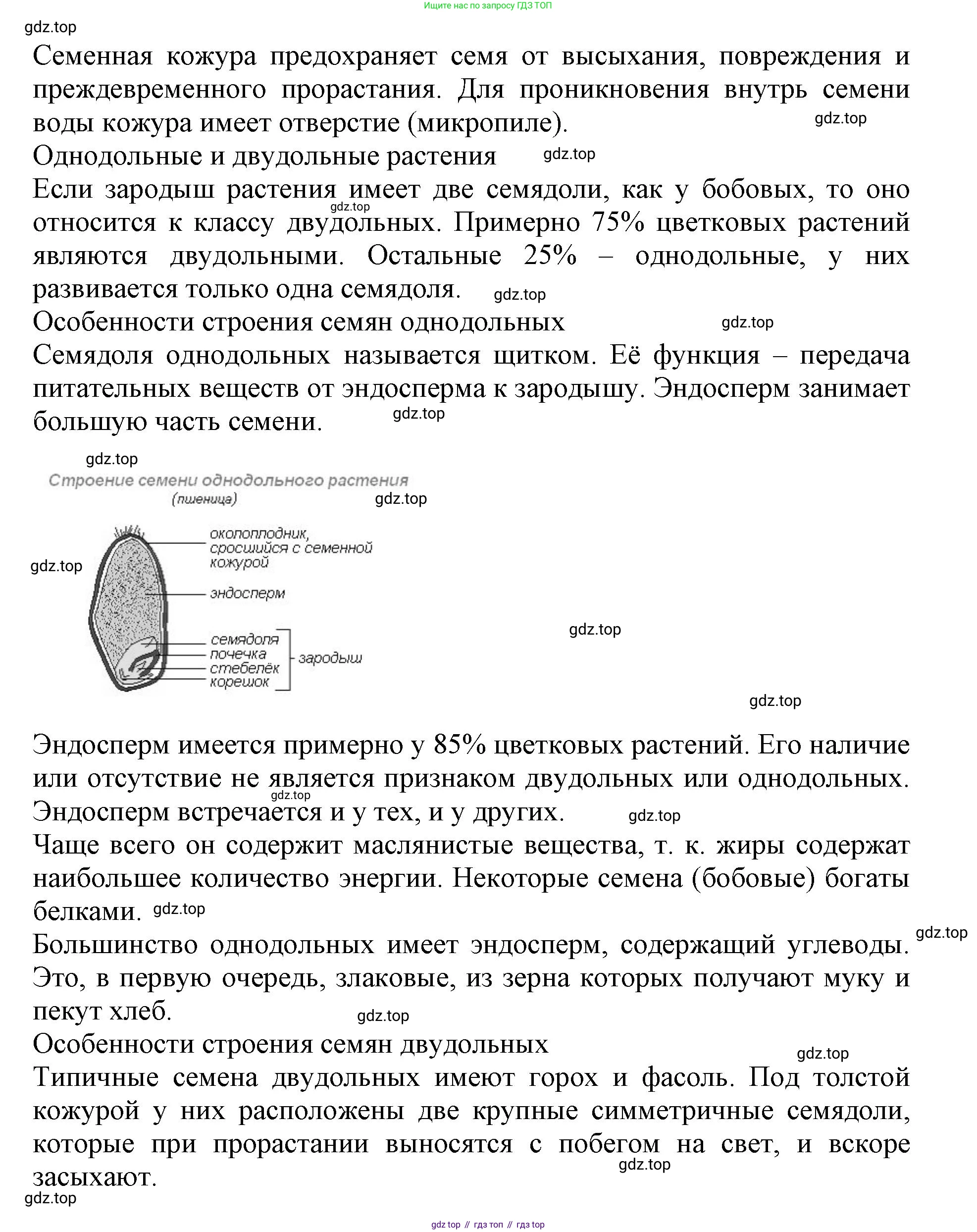 ГДЗ Биология, 6 класс Учебник, авторы: Пасечник Владимир Васильевич, Суматохин Сергей Витальевич, Гапонюк Зоя Георгиевна, Швецов Глеб Геннадьевич, издательство Просвещение, Москва, 2023, белого цвета, страница 90, номер 1, Решение 1 (продолжение 3)