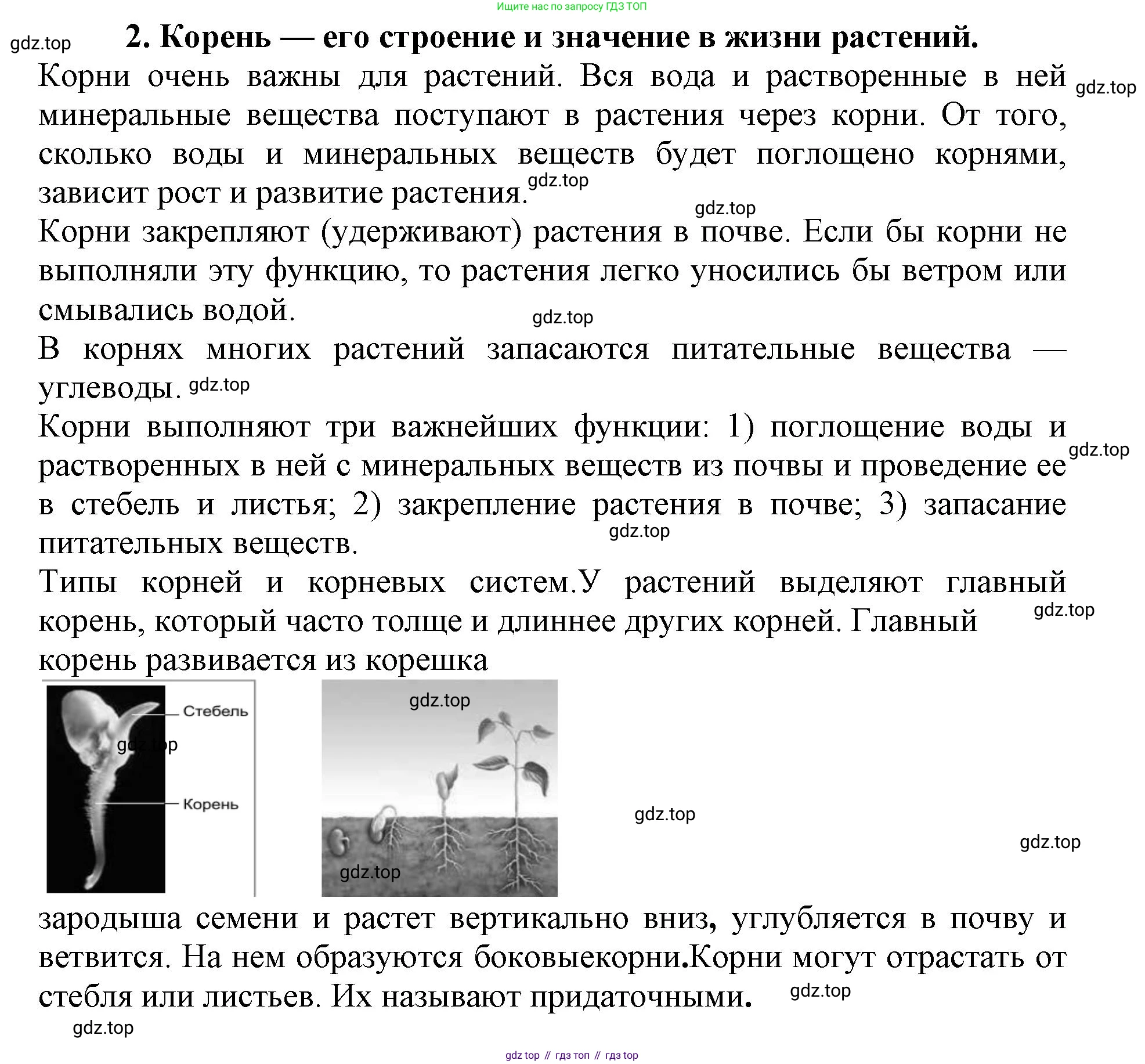 Биология, 6 класс Учебник, авторы: Пасечник Владимир Васильевич, Суматохин Сергей Витальевич, Гапонюк Зоя Георгиевна, Швецов Глеб Геннадьевич, издательство Просвещение, Москва, 2023, белого цвета, страница 90, номер 2, Решение 1