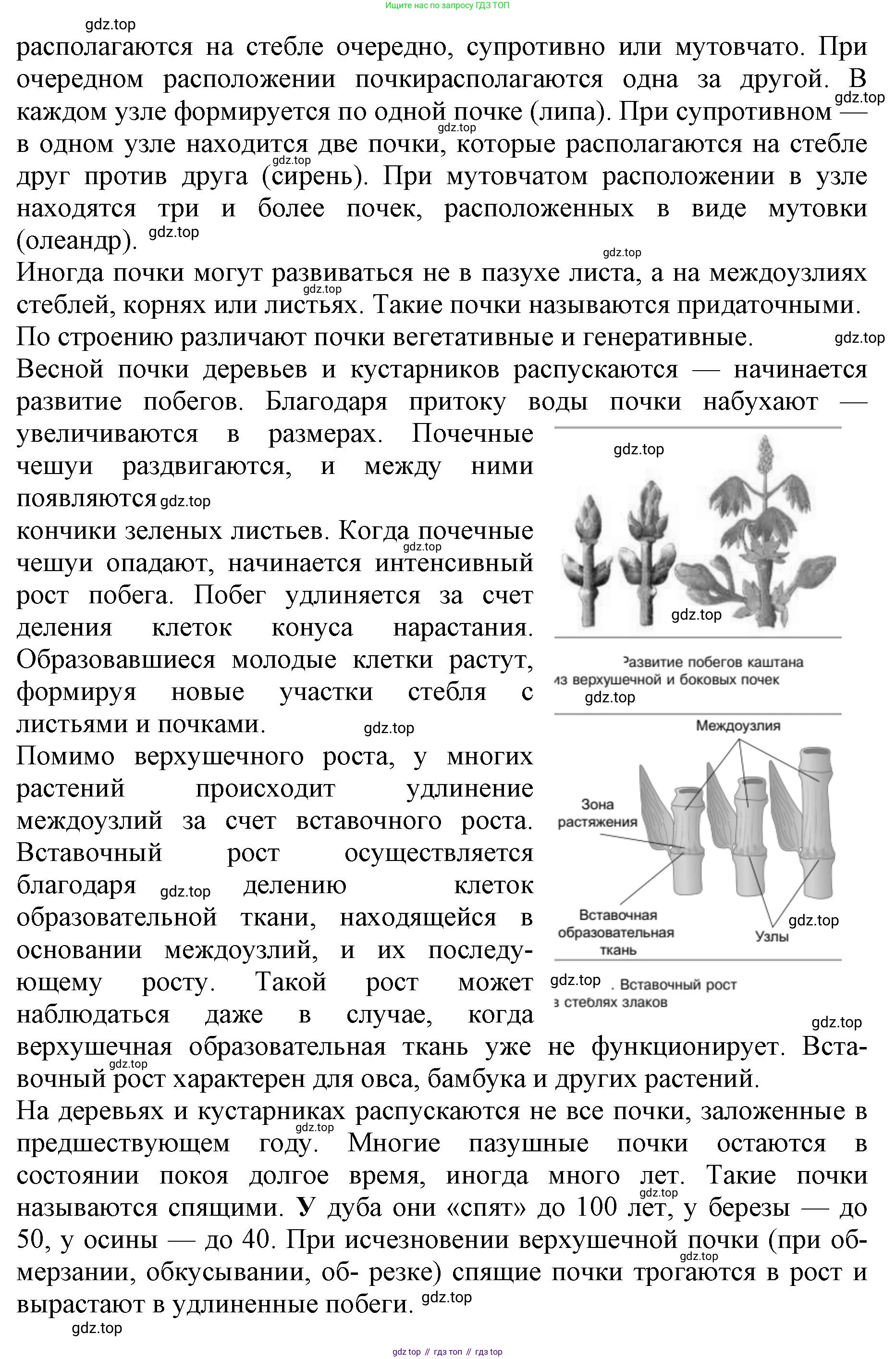 Биология, 6 класс Учебник, авторы: Пасечник Владимир Васильевич, Суматохин Сергей Витальевич, Гапонюк Зоя Георгиевна, Швецов Глеб Геннадьевич, издательство Просвещение, Москва, 2023, белого цвета, страница 90, номер 4, Решение 1 (продолжение 2)
