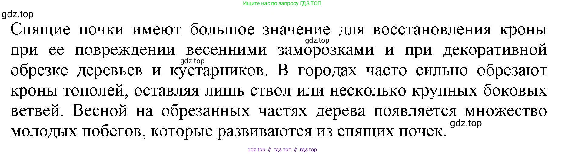 Биология, 6 класс Учебник, авторы: Пасечник Владимир Васильевич, Суматохин Сергей Витальевич, Гапонюк Зоя Георгиевна, Швецов Глеб Геннадьевич, издательство Просвещение, Москва, 2023, белого цвета, страница 90, номер 4, Решение 1 (продолжение 3)