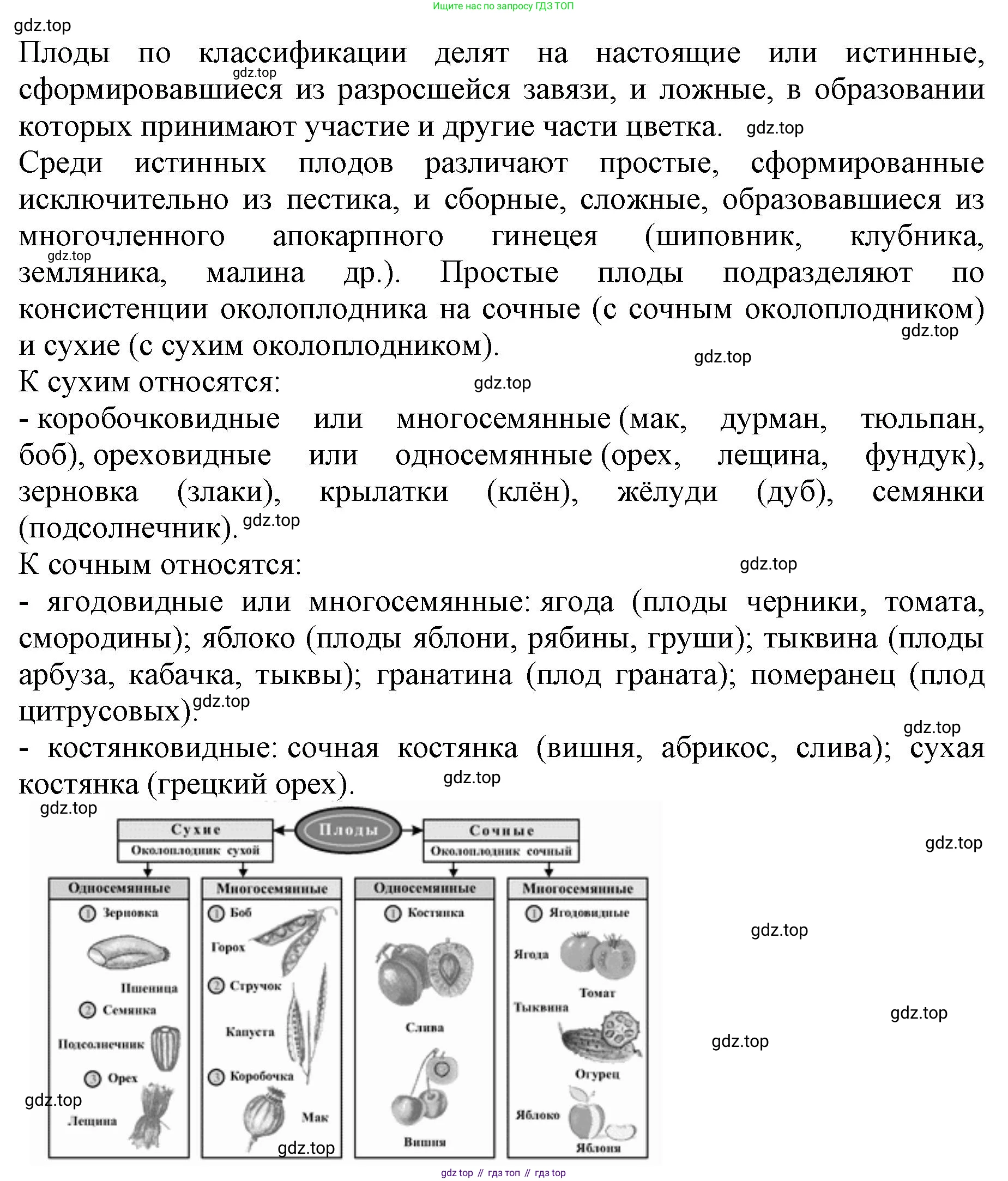 ГДЗ Биология, 6 класс Учебник, авторы: Пасечник Владимир Васильевич, Суматохин Сергей Витальевич, Гапонюк Зоя Георгиевна, Швецов Глеб Геннадьевич, издательство Просвещение, Москва, 2023, белого цвета, страница 90, номер 8, Решение 1 (продолжение 3)