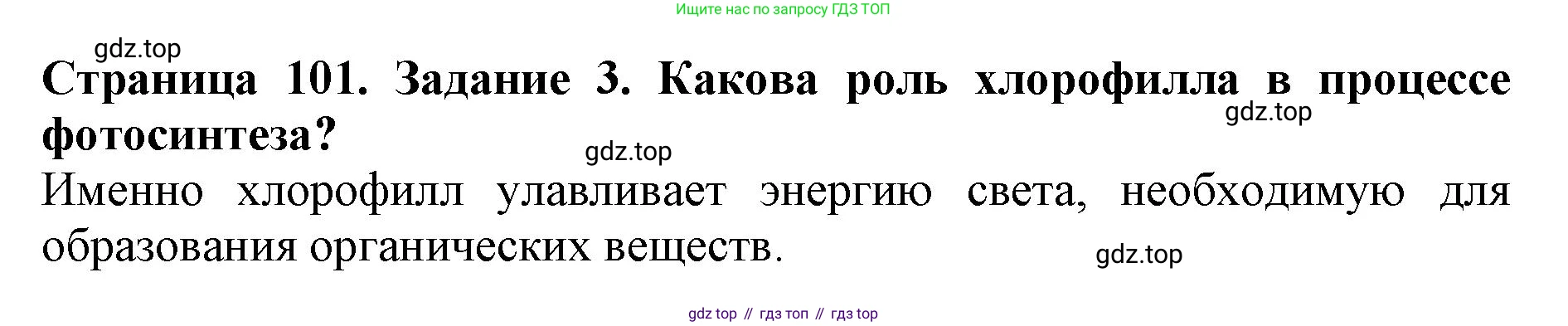 ГДЗ Биология, 6 класс Учебник, авторы: Пасечник Владимир Васильевич, Суматохин Сергей Витальевич, Гапонюк Зоя Георгиевна, Швецов Глеб Геннадьевич, издательство Просвещение, Москва, 2023, белого цвета, страница 101, номер 3, Решение 1