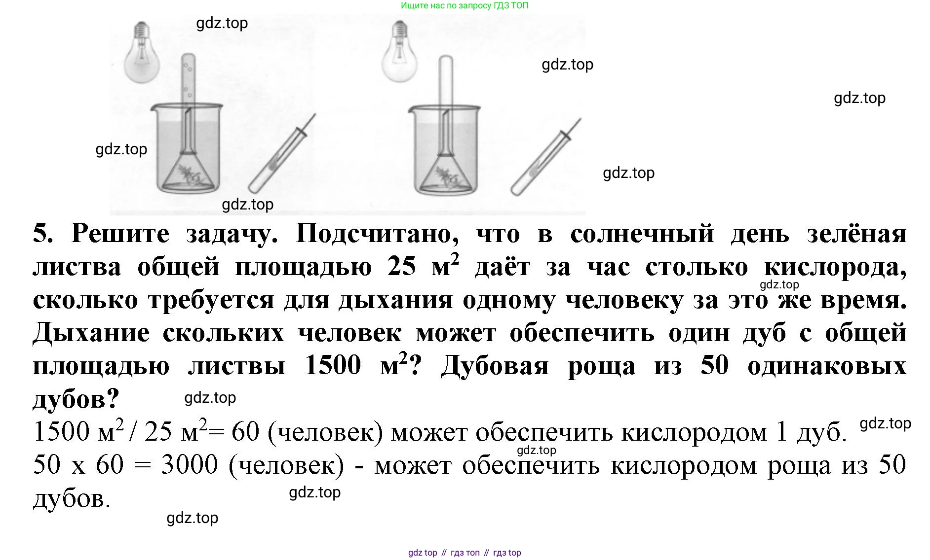 ГДЗ Биология, 6 класс Учебник, авторы: Пасечник Владимир Васильевич, Суматохин Сергей Витальевич, Гапонюк Зоя Георгиевна, Швецов Глеб Геннадьевич, издательство Просвещение, Москва, 2023, белого цвета, страница 102, Решение 1 (продолжение 5)