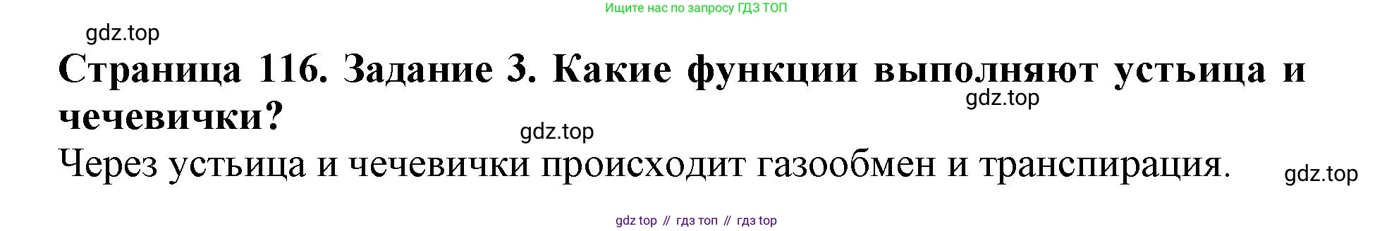 ГДЗ Биология, 6 класс Учебник, авторы: Пасечник Владимир Васильевич, Суматохин Сергей Витальевич, Гапонюк Зоя Георгиевна, Швецов Глеб Геннадьевич, издательство Просвещение, Москва, 2023, белого цвета, страница 116, номер 3, Решение 1
