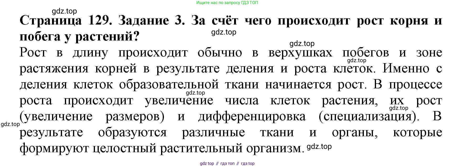 ГДЗ Биология, 6 класс Учебник, авторы: Пасечник Владимир Васильевич, Суматохин Сергей Витальевич, Гапонюк Зоя Георгиевна, Швецов Глеб Геннадьевич, издательство Просвещение, Москва, 2023, белого цвета, страница 129, номер 3, Решение 1