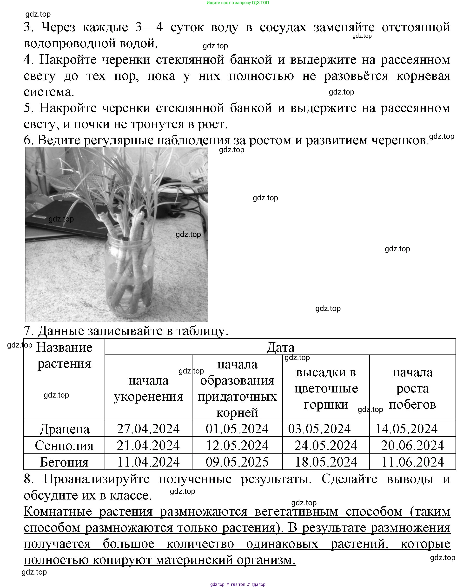ГДЗ Биология, 6 класс Учебник, авторы: Пасечник Владимир Васильевич, Суматохин Сергей Витальевич, Гапонюк Зоя Георгиевна, Швецов Глеб Геннадьевич, издательство Просвещение, Москва, 2023, белого цвета, страница 142, Решение 1 (продолжение 2)
