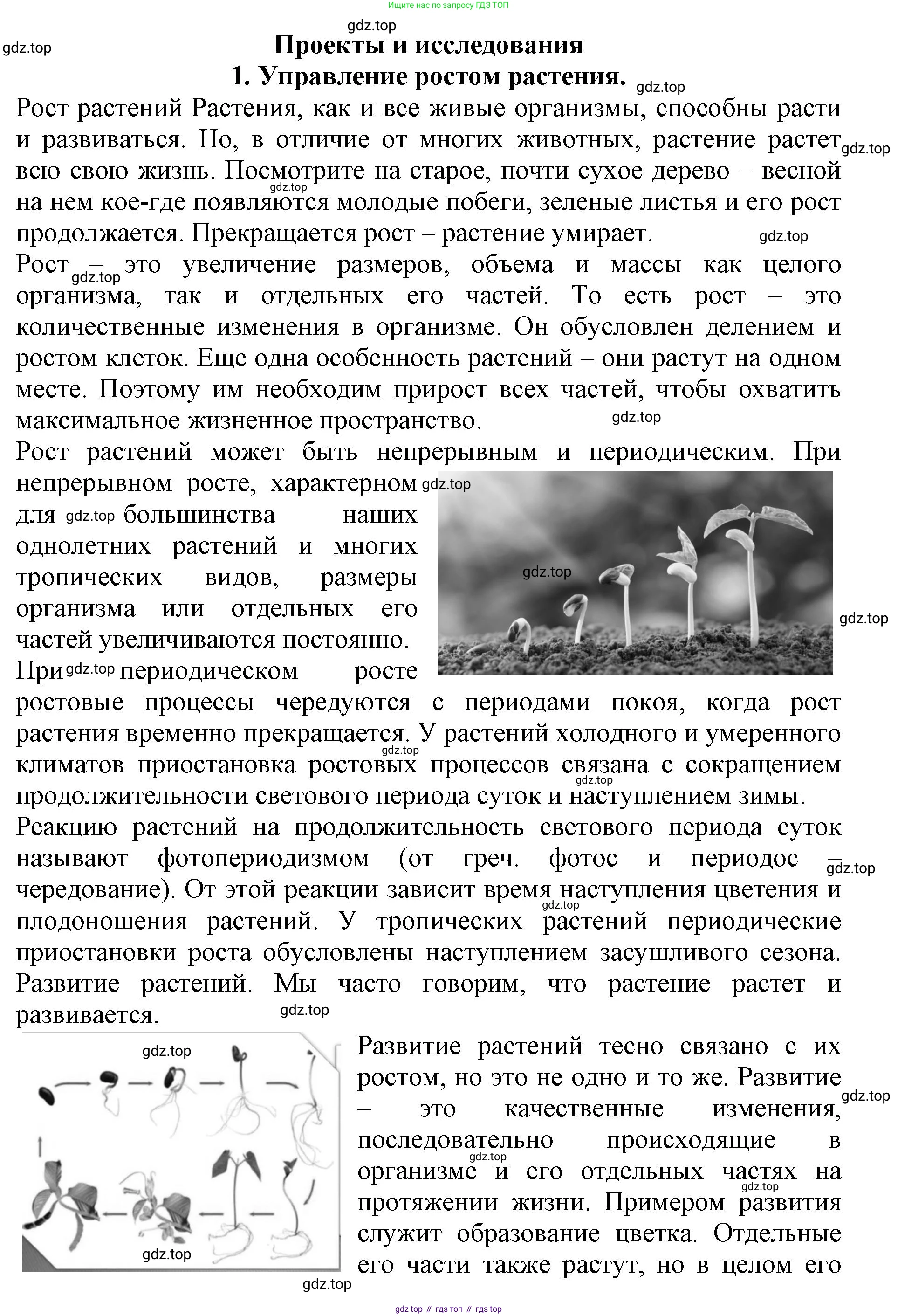 ГДЗ Биология, 6 класс Учебник, авторы: Пасечник Владимир Васильевич, Суматохин Сергей Витальевич, Гапонюк Зоя Георгиевна, Швецов Глеб Геннадьевич, издательство Просвещение, Москва, 2023, белого цвета, страница 144, номер 1, Решение 1