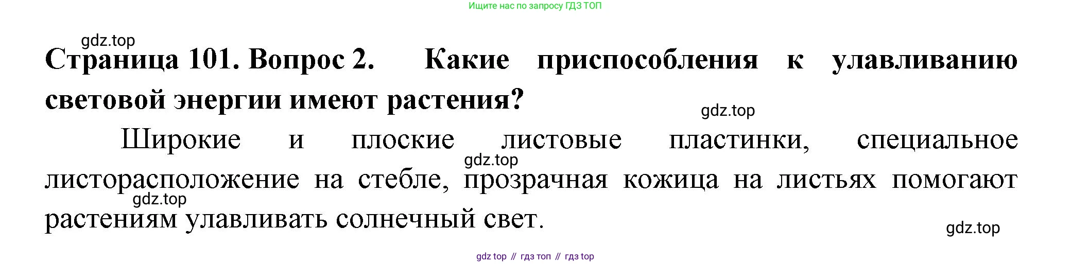 ГДЗ Биология, 6 класс Учебник, авторы: Пасечник Владимир Васильевич, Суматохин Сергей Витальевич, Гапонюк Зоя Георгиевна, Швецов Глеб Геннадьевич, издательство Просвещение, Москва, 2023, белого цвета, страница 101, номер 2, Решение 2