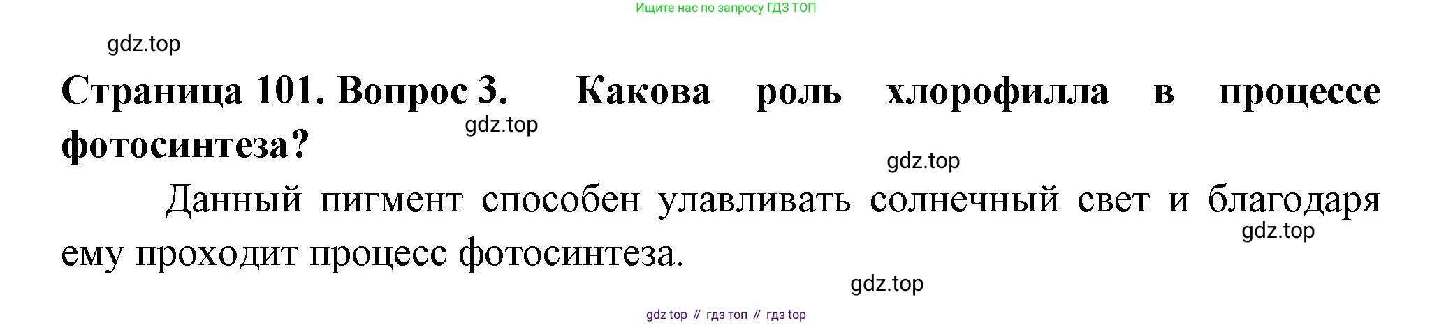 ГДЗ Биология, 6 класс Учебник, авторы: Пасечник Владимир Васильевич, Суматохин Сергей Витальевич, Гапонюк Зоя Георгиевна, Швецов Глеб Геннадьевич, издательство Просвещение, Москва, 2023, белого цвета, страница 101, номер 3, Решение 2