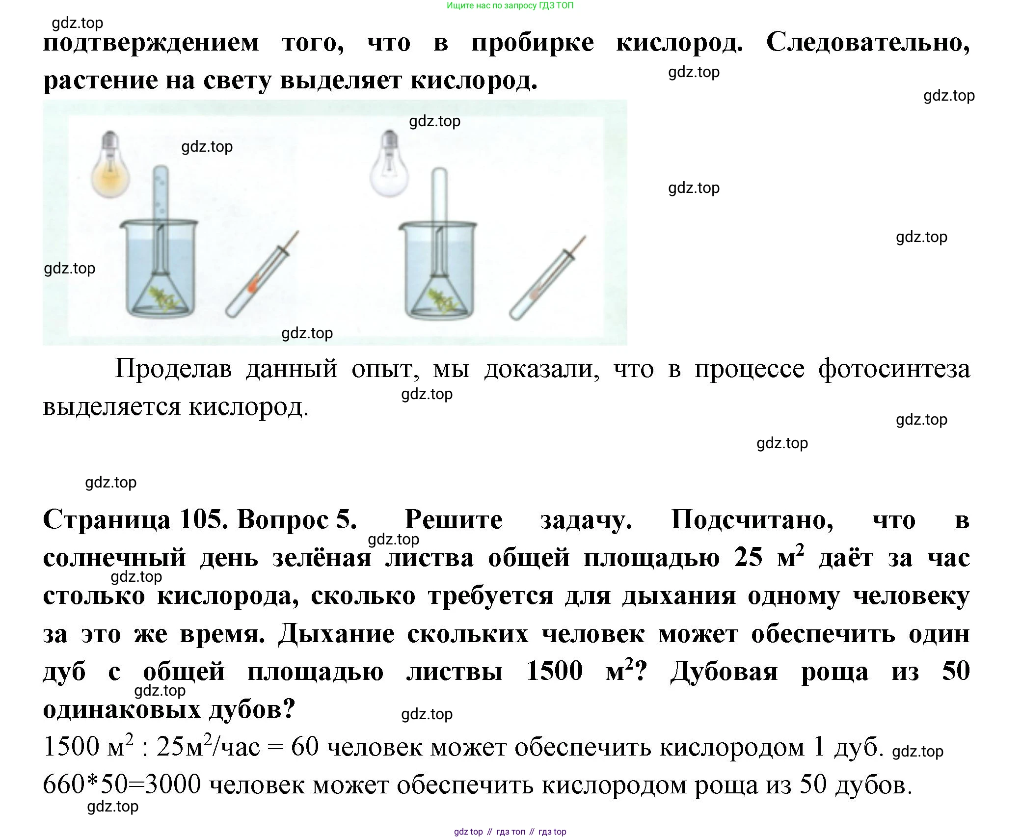 ГДЗ Биология, 6 класс Учебник, авторы: Пасечник Владимир Васильевич, Суматохин Сергей Витальевич, Гапонюк Зоя Георгиевна, Швецов Глеб Геннадьевич, издательство Просвещение, Москва, 2023, белого цвета, страница 102, Решение 2 (продолжение 5)
