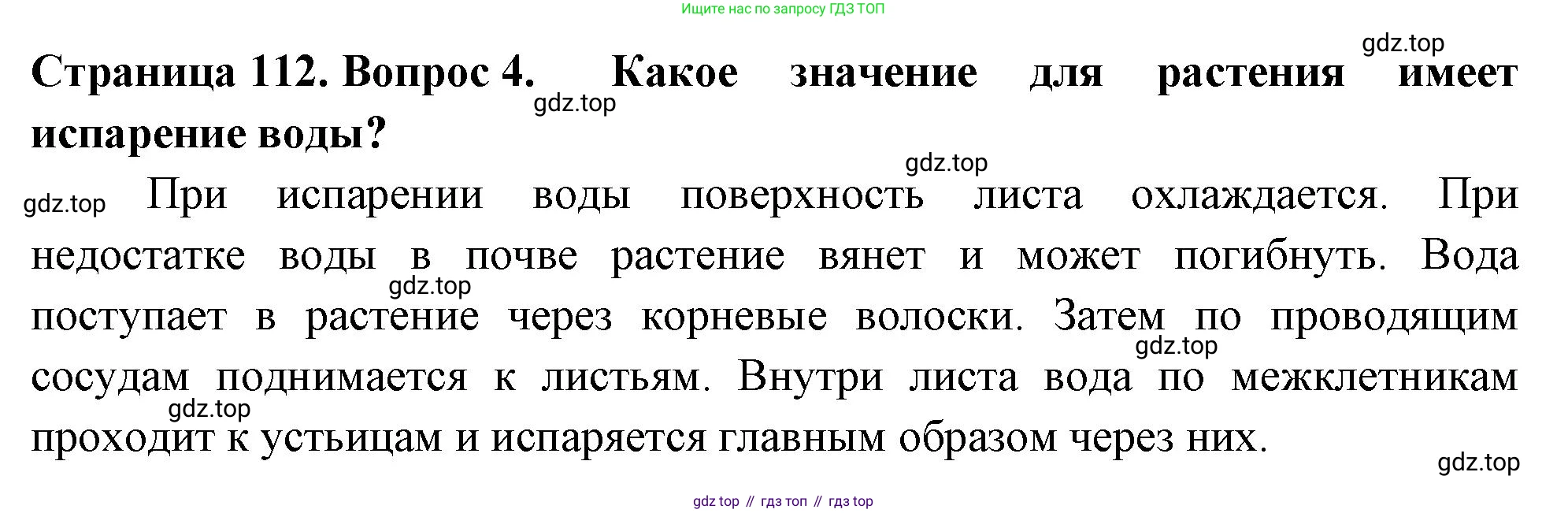 ГДЗ Биология, 6 класс Учебник, авторы: Пасечник Владимир Васильевич, Суматохин Сергей Витальевич, Гапонюк Зоя Георгиевна, Швецов Глеб Геннадьевич, издательство Просвещение, Москва, 2023, белого цвета, страница 112, номер 4, Решение 2
