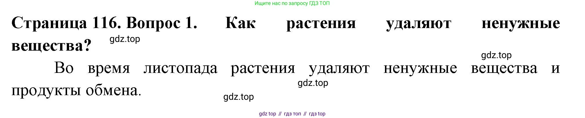 ГДЗ Биология, 6 класс Учебник, авторы: Пасечник Владимир Васильевич, Суматохин Сергей Витальевич, Гапонюк Зоя Георгиевна, Швецов Глеб Геннадьевич, издательство Просвещение, Москва, 2023, белого цвета, страница 116, номер 1, Решение 2
