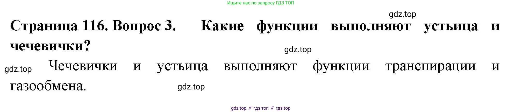 ГДЗ Биология, 6 класс Учебник, авторы: Пасечник Владимир Васильевич, Суматохин Сергей Витальевич, Гапонюк Зоя Георгиевна, Швецов Глеб Геннадьевич, издательство Просвещение, Москва, 2023, белого цвета, страница 116, номер 3, Решение 2