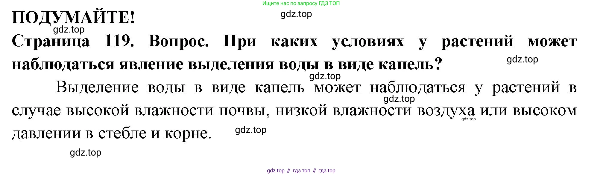 ГДЗ Биология, 6 класс Учебник, авторы: Пасечник Владимир Васильевич, Суматохин Сергей Витальевич, Гапонюк Зоя Георгиевна, Швецов Глеб Геннадьевич, издательство Просвещение, Москва, 2023, белого цвета, страница 119, Решение 2