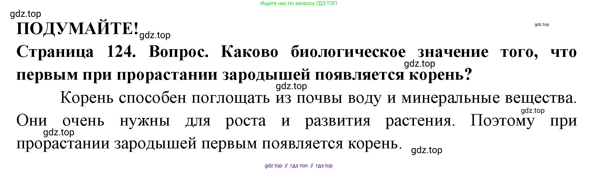 ГДЗ Биология, 6 класс Учебник, авторы: Пасечник Владимир Васильевич, Суматохин Сергей Витальевич, Гапонюк Зоя Георгиевна, Швецов Глеб Геннадьевич, издательство Просвещение, Москва, 2023, белого цвета, страница 124, Решение 2