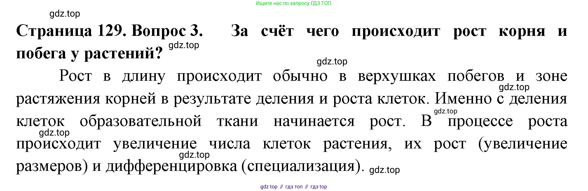 ГДЗ Биология, 6 класс Учебник, авторы: Пасечник Владимир Васильевич, Суматохин Сергей Витальевич, Гапонюк Зоя Георгиевна, Швецов Глеб Геннадьевич, издательство Просвещение, Москва, 2023, белого цвета, страница 129, номер 3, Решение 2