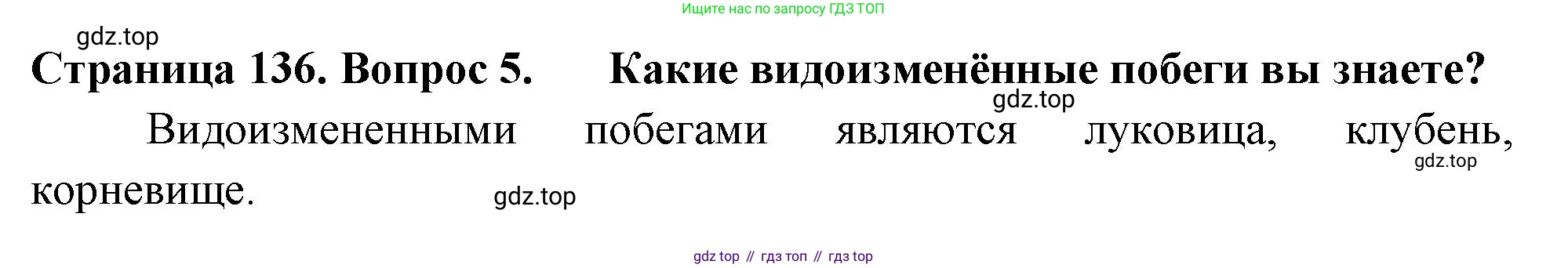 ГДЗ Биология, 6 класс Учебник, авторы: Пасечник Владимир Васильевич, Суматохин Сергей Витальевич, Гапонюк Зоя Георгиевна, Швецов Глеб Геннадьевич, издательство Просвещение, Москва, 2023, белого цвета, страница 136, номер 5, Решение 2