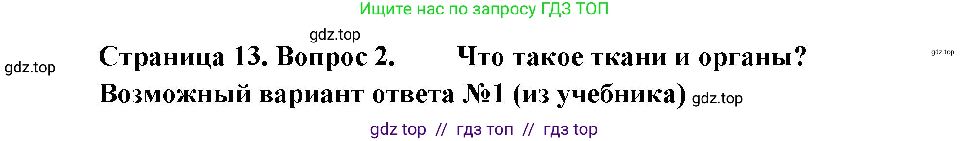 Биология, 6 класс Учебник, авторы: Пасечник Владимир Васильевич, Суматохин Сергей Витальевич, Гапонюк Зоя Георгиевна, Швецов Глеб Геннадьевич, издательство Просвещение, Москва, 2023, белого цвета, страница 13, номер 2, Решение 3