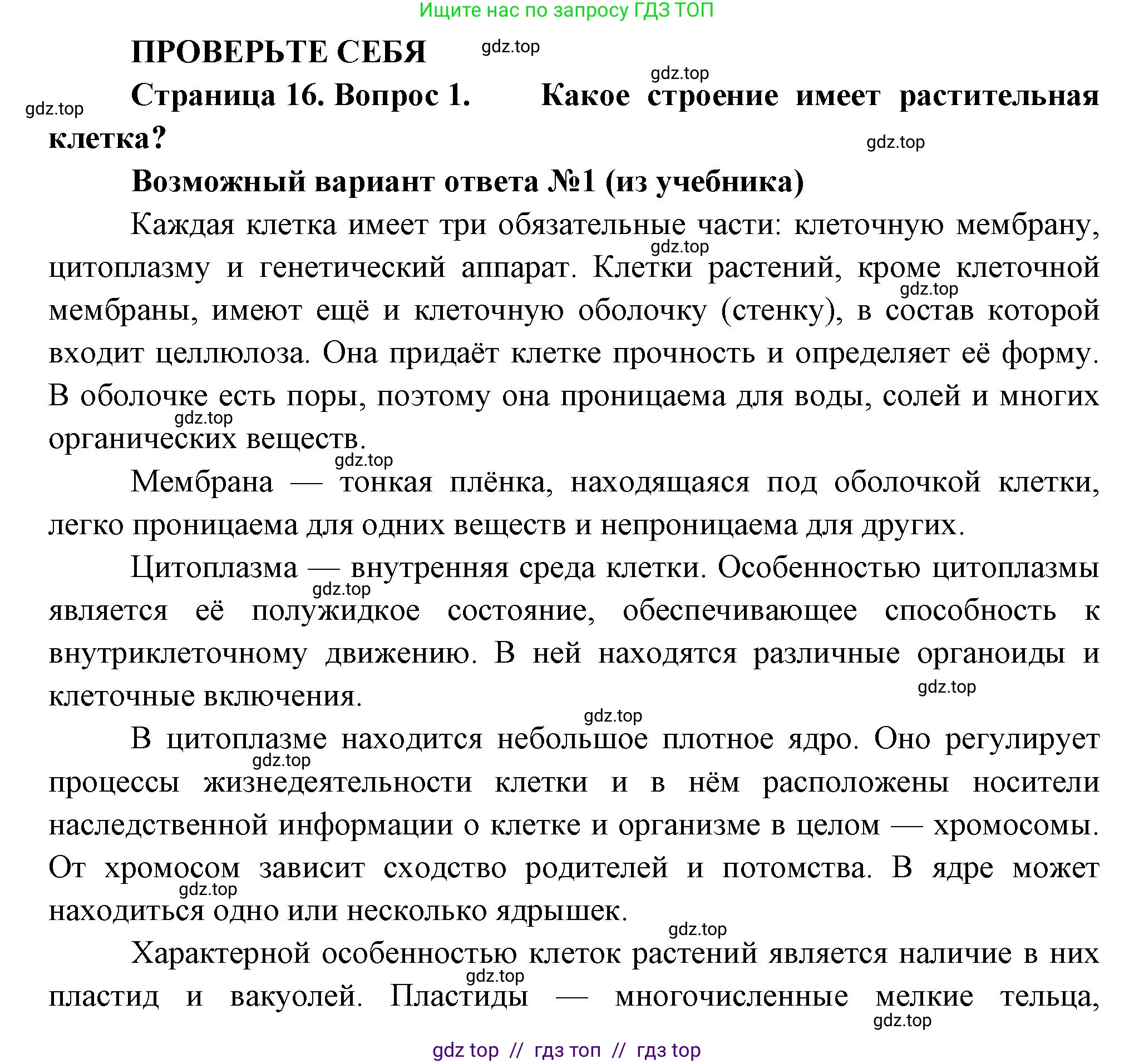 Биология, 6 класс Учебник, авторы: Пасечник Владимир Васильевич, Суматохин Сергей Витальевич, Гапонюк Зоя Георгиевна, Швецов Глеб Геннадьевич, издательство Просвещение, Москва, 2023, белого цвета, страница 16, номер 1, Решение 3
