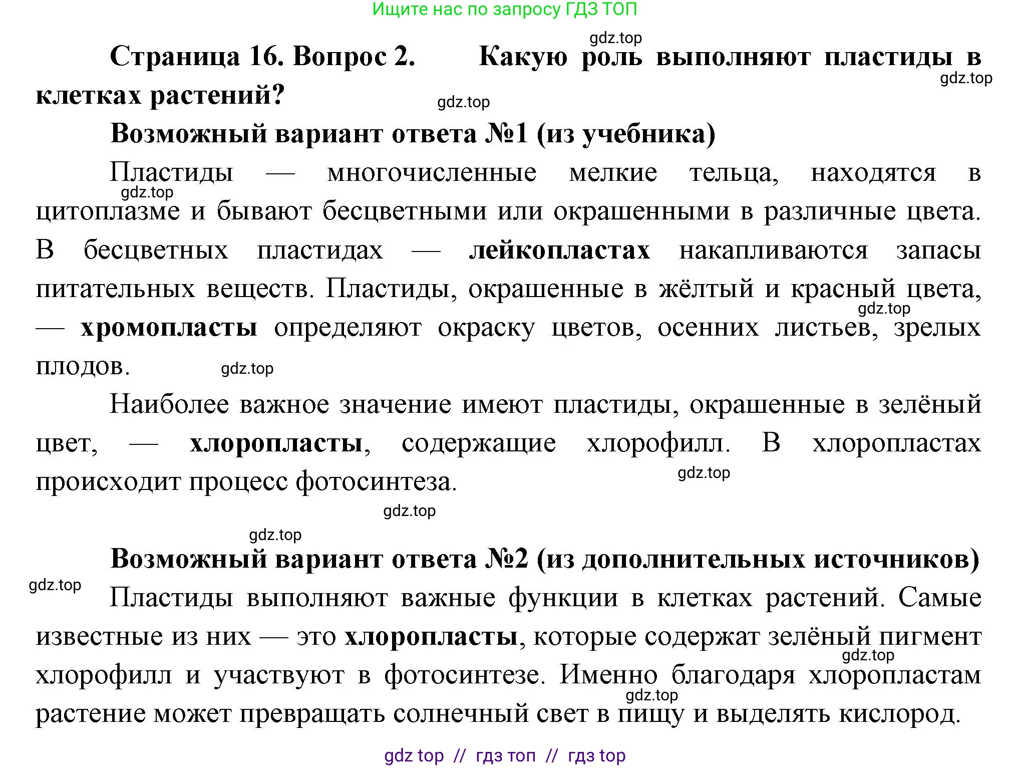 Биология, 6 класс Учебник, авторы: Пасечник Владимир Васильевич, Суматохин Сергей Витальевич, Гапонюк Зоя Георгиевна, Швецов Глеб Геннадьевич, издательство Просвещение, Москва, 2023, белого цвета, страница 16, номер 2, Решение 3