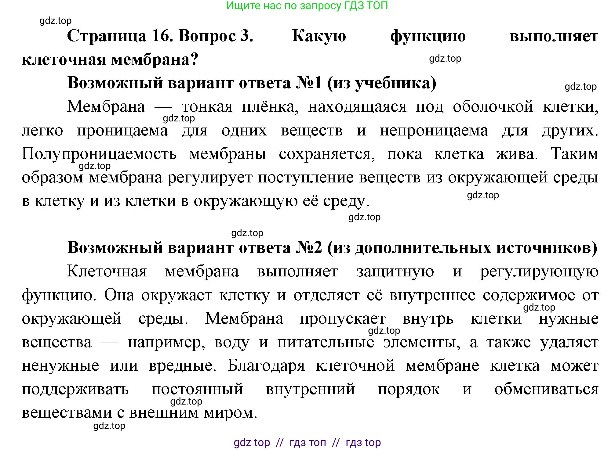 Биология, 6 класс Учебник, авторы: Пасечник Владимир Васильевич, Суматохин Сергей Витальевич, Гапонюк Зоя Георгиевна, Швецов Глеб Геннадьевич, издательство Просвещение, Москва, 2023, белого цвета, страница 16, номер 3, Решение 3