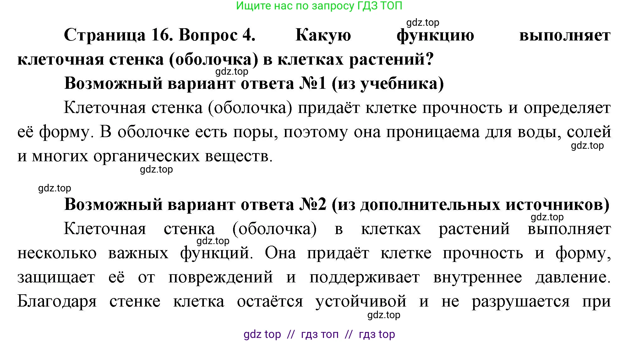 Биология, 6 класс Учебник, авторы: Пасечник Владимир Васильевич, Суматохин Сергей Витальевич, Гапонюк Зоя Георгиевна, Швецов Глеб Геннадьевич, издательство Просвещение, Москва, 2023, белого цвета, страница 16, номер 4, Решение 3
