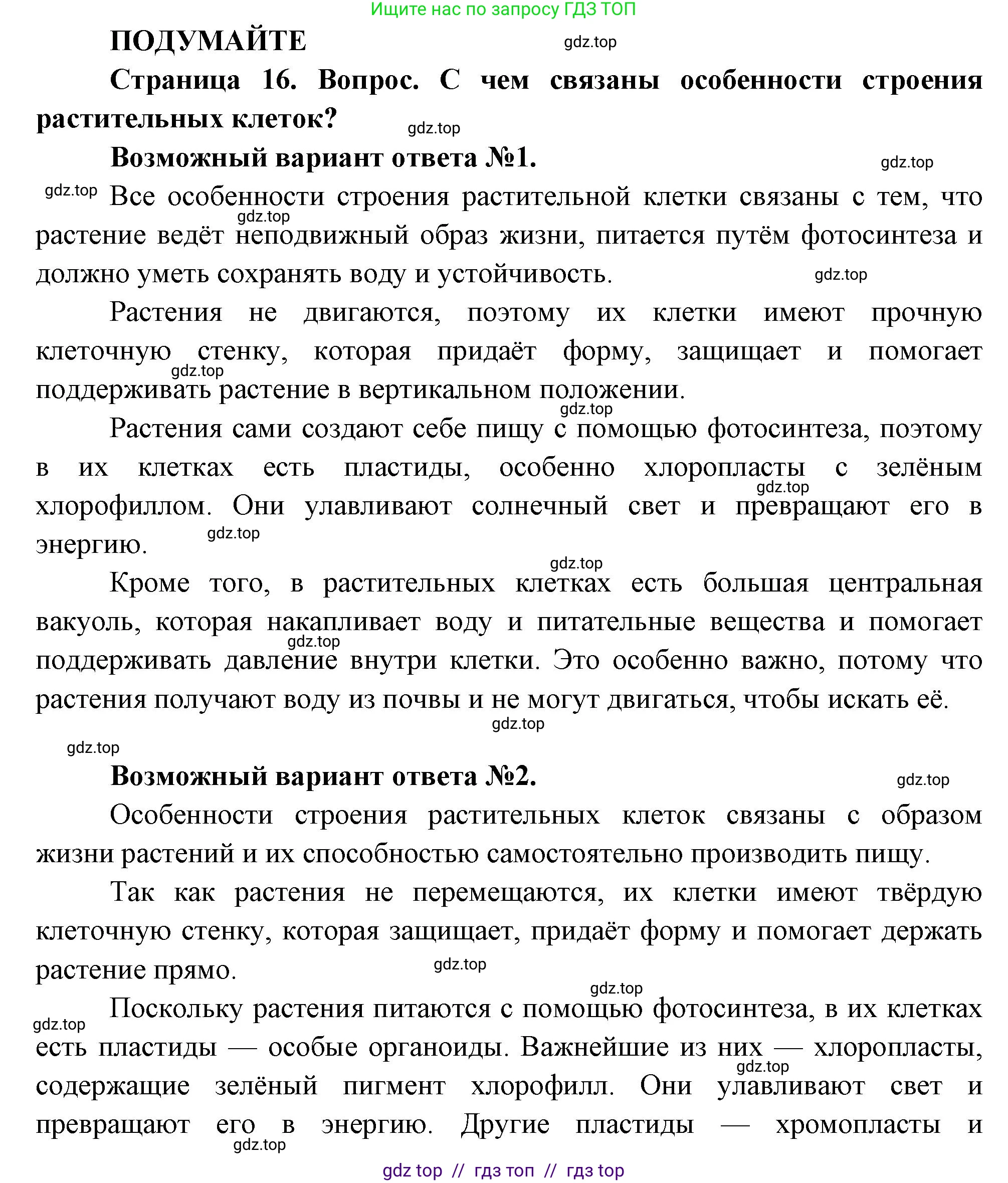 Биология, 6 класс Учебник, авторы: Пасечник Владимир Васильевич, Суматохин Сергей Витальевич, Гапонюк Зоя Георгиевна, Швецов Глеб Геннадьевич, издательство Просвещение, Москва, 2023, белого цвета, страница 16, Решение 3
