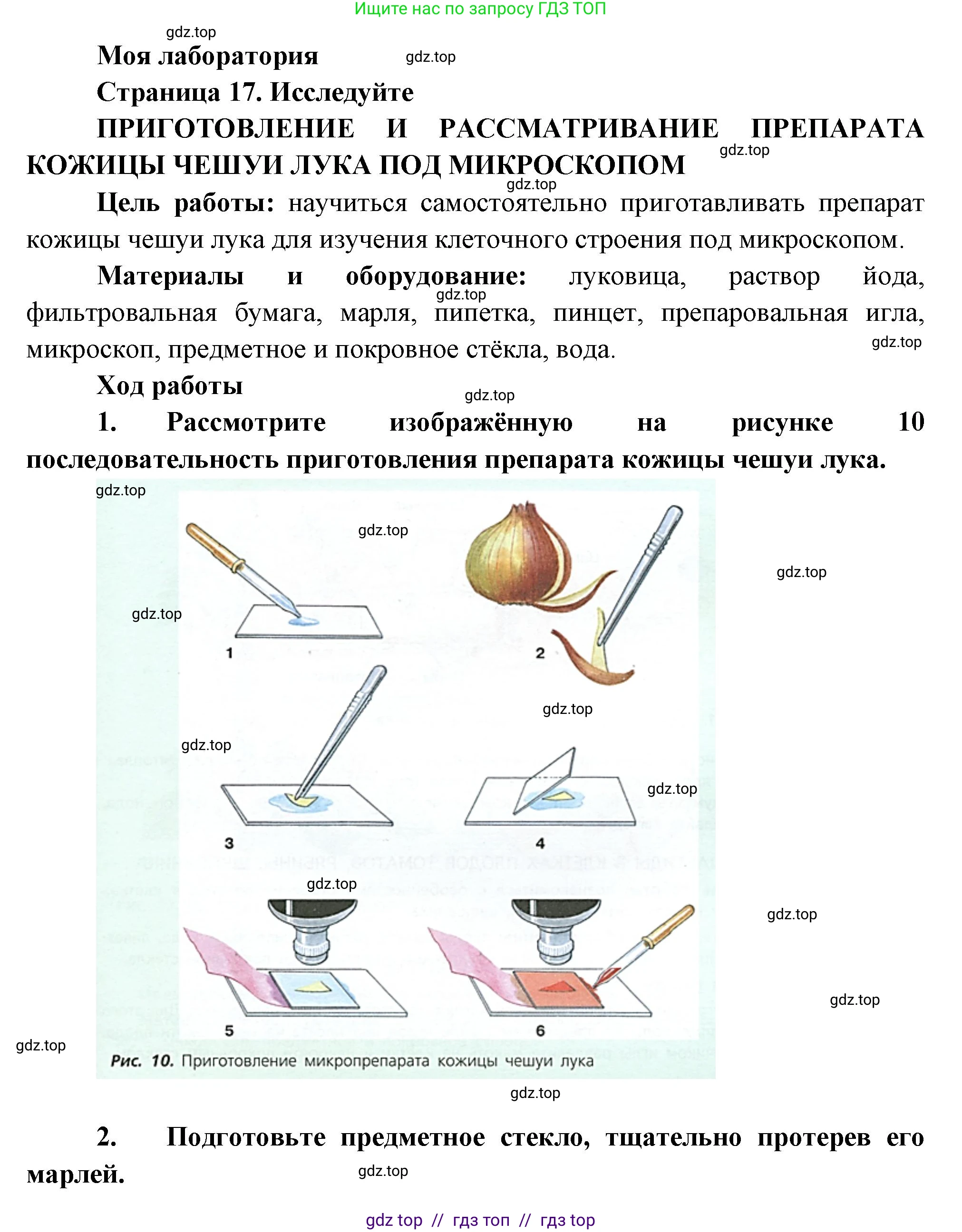 Биология, 6 класс Учебник, авторы: Пасечник Владимир Васильевич, Суматохин Сергей Витальевич, Гапонюк Зоя Георгиевна, Швецов Глеб Геннадьевич, издательство Просвещение, Москва, 2023, белого цвета, страница 17, Решение 3