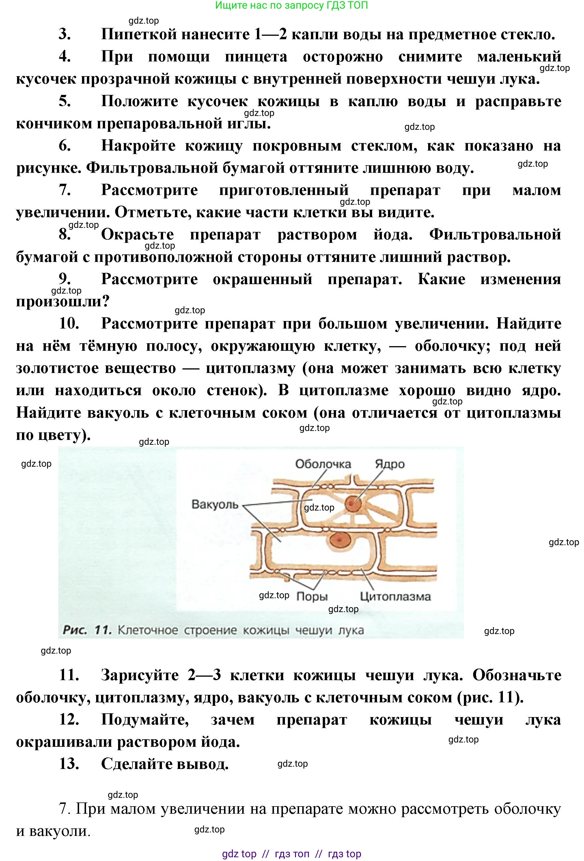 Биология, 6 класс Учебник, авторы: Пасечник Владимир Васильевич, Суматохин Сергей Витальевич, Гапонюк Зоя Георгиевна, Швецов Глеб Геннадьевич, издательство Просвещение, Москва, 2023, белого цвета, страница 17, Решение 3 (продолжение 2)