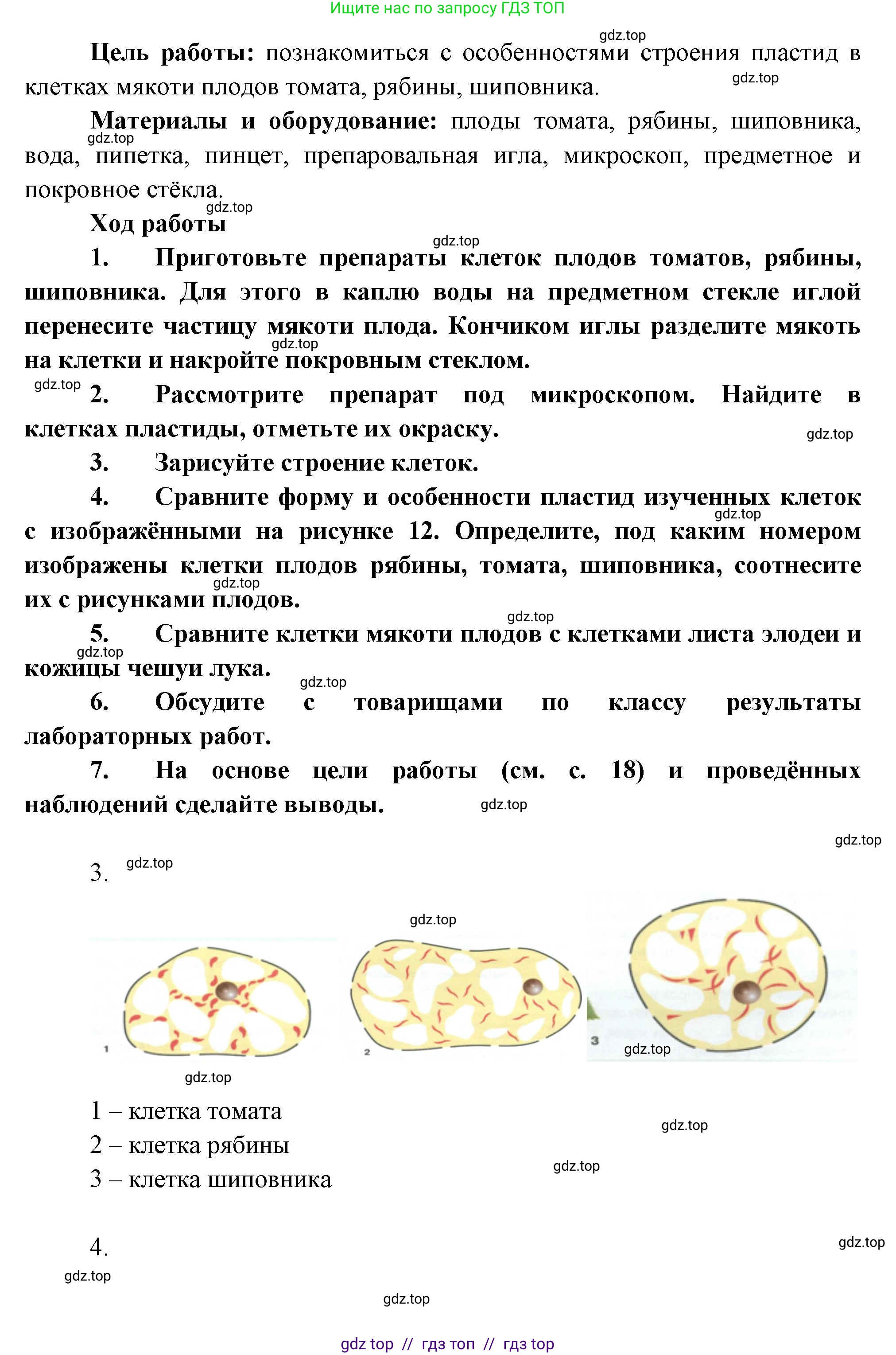 Биология, 6 класс Учебник, авторы: Пасечник Владимир Васильевич, Суматохин Сергей Витальевич, Гапонюк Зоя Георгиевна, Швецов Глеб Геннадьевич, издательство Просвещение, Москва, 2023, белого цвета, страница 17, Решение 3 (продолжение 4)