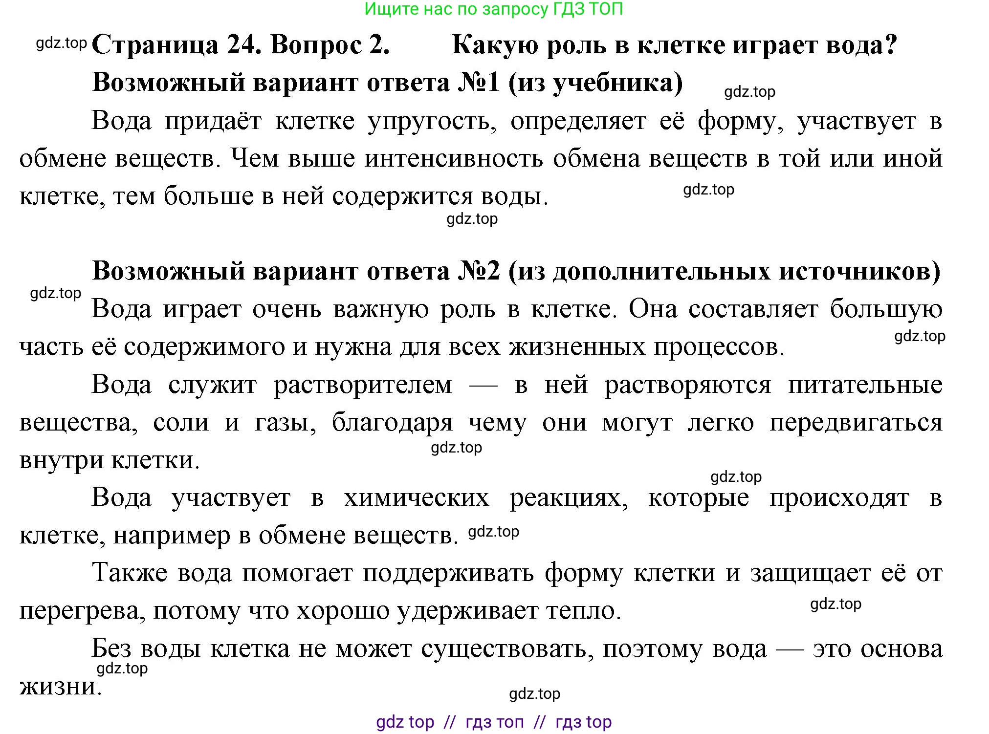 Биология, 6 класс Учебник, авторы: Пасечник Владимир Васильевич, Суматохин Сергей Витальевич, Гапонюк Зоя Георгиевна, Швецов Глеб Геннадьевич, издательство Просвещение, Москва, 2023, белого цвета, страница 24, номер 2, Решение 3