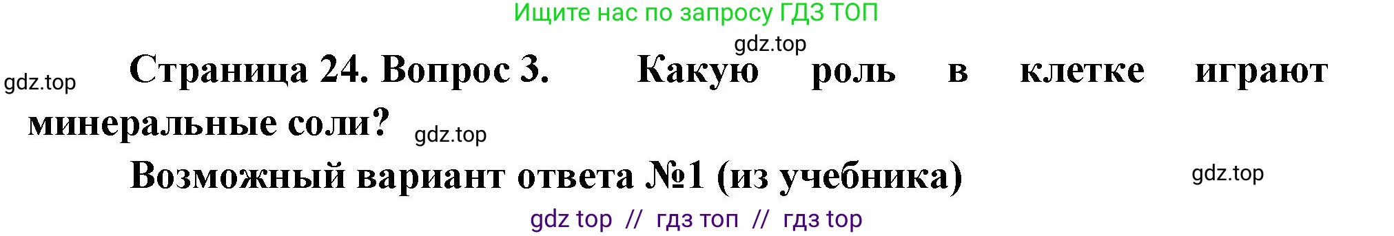 Биология, 6 класс Учебник, авторы: Пасечник Владимир Васильевич, Суматохин Сергей Витальевич, Гапонюк Зоя Георгиевна, Швецов Глеб Геннадьевич, издательство Просвещение, Москва, 2023, белого цвета, страница 24, номер 3, Решение 3