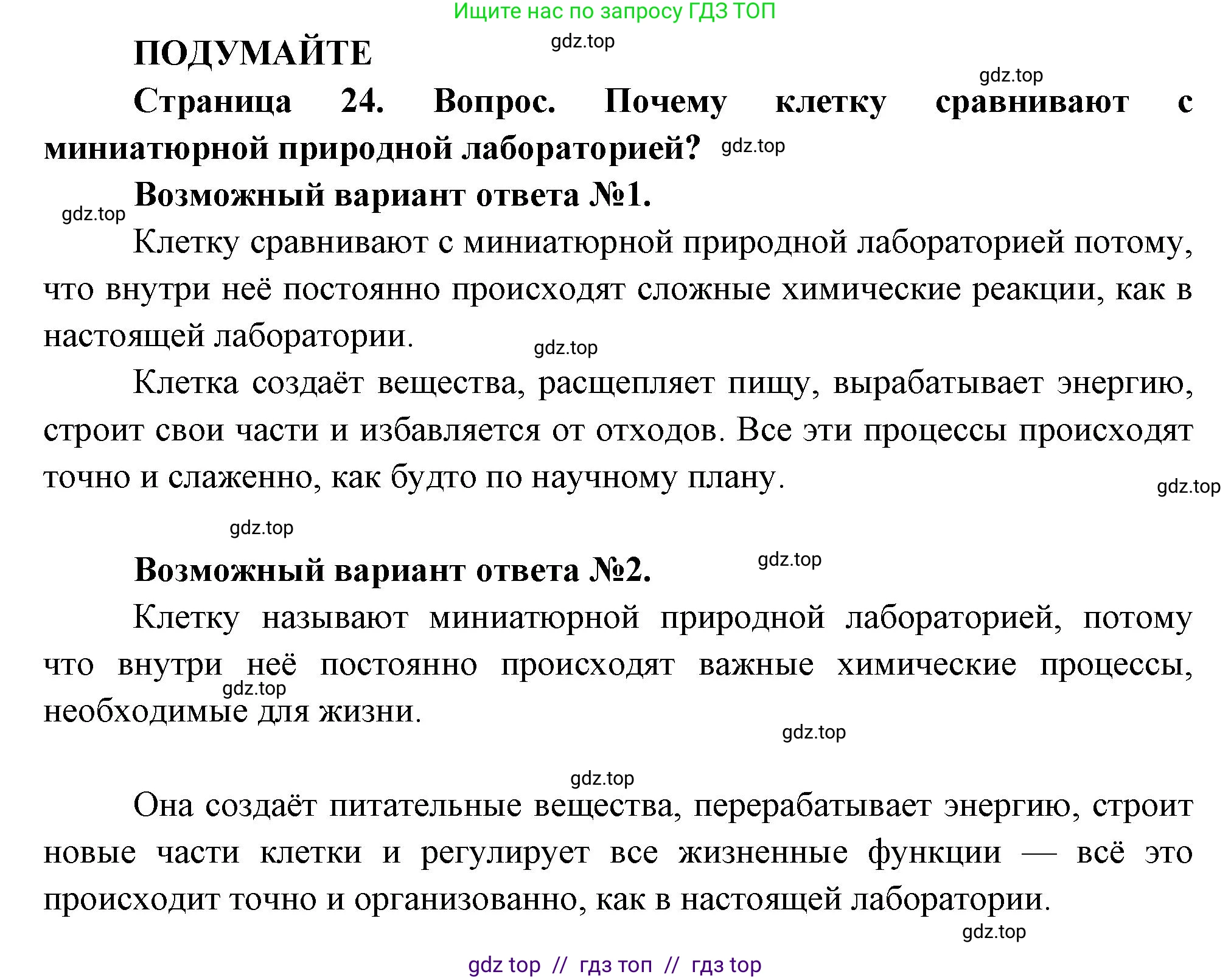 Биология, 6 класс Учебник, авторы: Пасечник Владимир Васильевич, Суматохин Сергей Витальевич, Гапонюк Зоя Георгиевна, Швецов Глеб Геннадьевич, издательство Просвещение, Москва, 2023, белого цвета, страница 24, Решение 3
