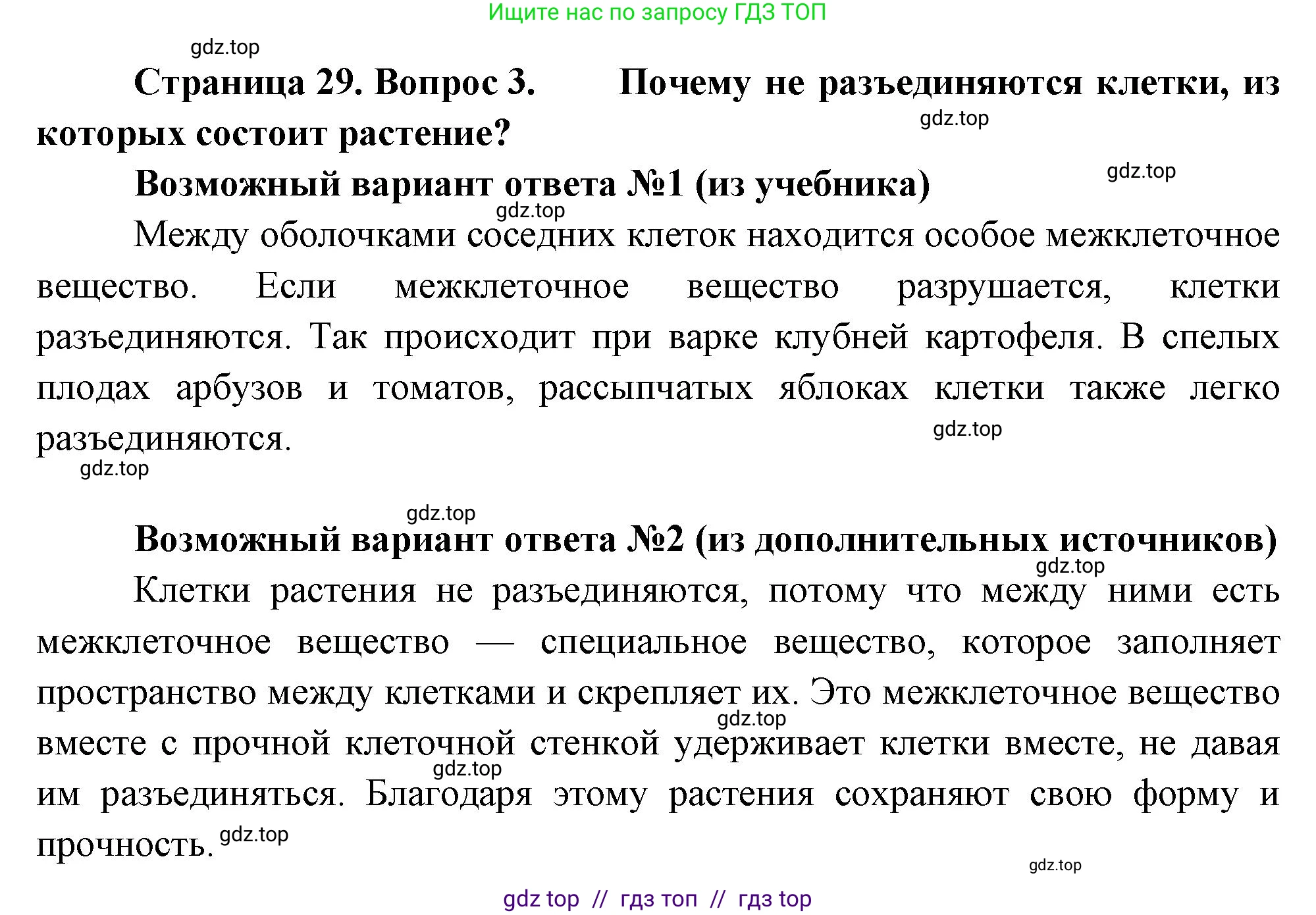 Биология, 6 класс Учебник, авторы: Пасечник Владимир Васильевич, Суматохин Сергей Витальевич, Гапонюк Зоя Георгиевна, Швецов Глеб Геннадьевич, издательство Просвещение, Москва, 2023, белого цвета, страница 29, номер 3, Решение 3