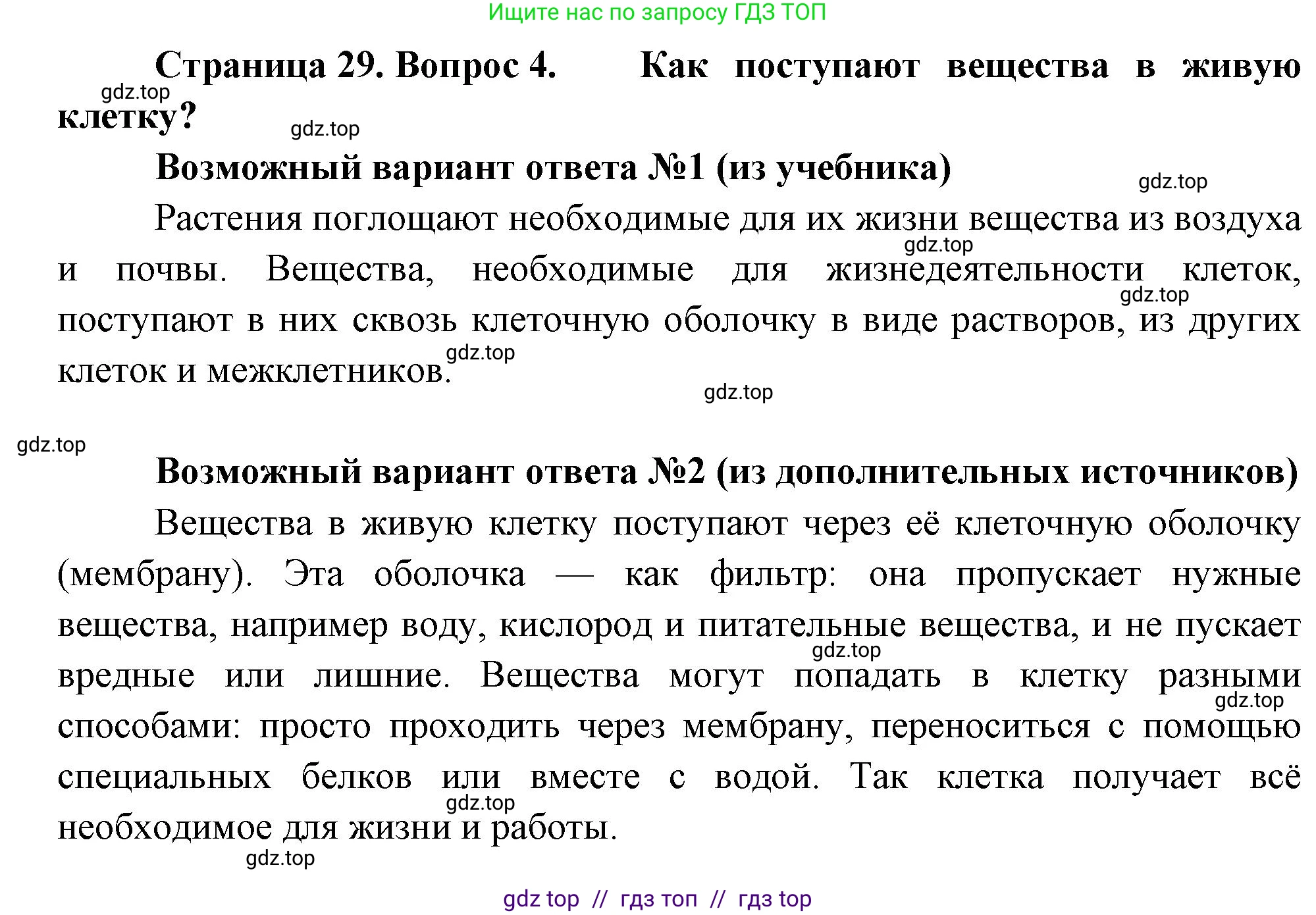 Биология, 6 класс Учебник, авторы: Пасечник Владимир Васильевич, Суматохин Сергей Витальевич, Гапонюк Зоя Георгиевна, Швецов Глеб Геннадьевич, издательство Просвещение, Москва, 2023, белого цвета, страница 29, номер 4, Решение 3