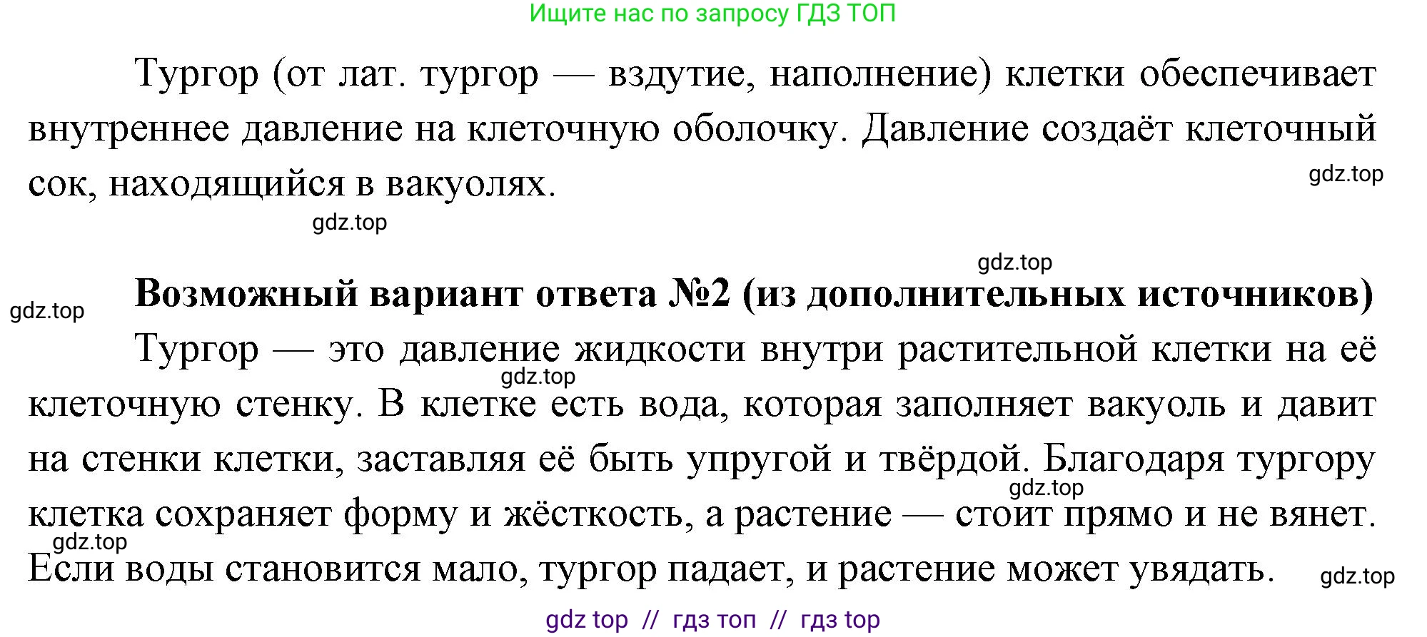 Биология, 6 класс Учебник, авторы: Пасечник Владимир Васильевич, Суматохин Сергей Витальевич, Гапонюк Зоя Георгиевна, Швецов Глеб Геннадьевич, издательство Просвещение, Москва, 2023, белого цвета, страница 29, номер 6, Решение 3 (продолжение 2)