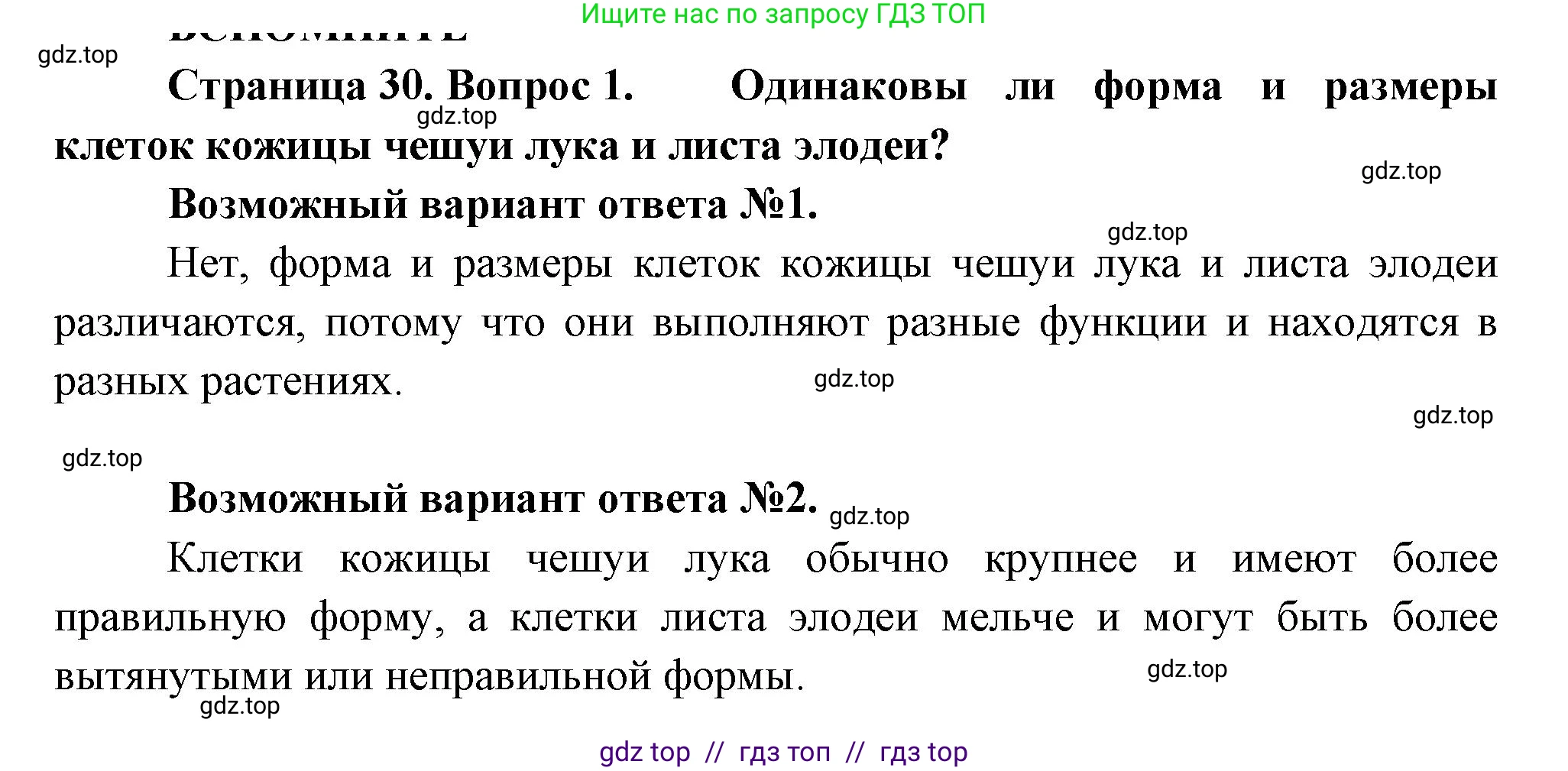 Биология, 6 класс Учебник, авторы: Пасечник Владимир Васильевич, Суматохин Сергей Витальевич, Гапонюк Зоя Георгиевна, Швецов Глеб Геннадьевич, издательство Просвещение, Москва, 2023, белого цвета, страница 30, номер 1, Решение 3
