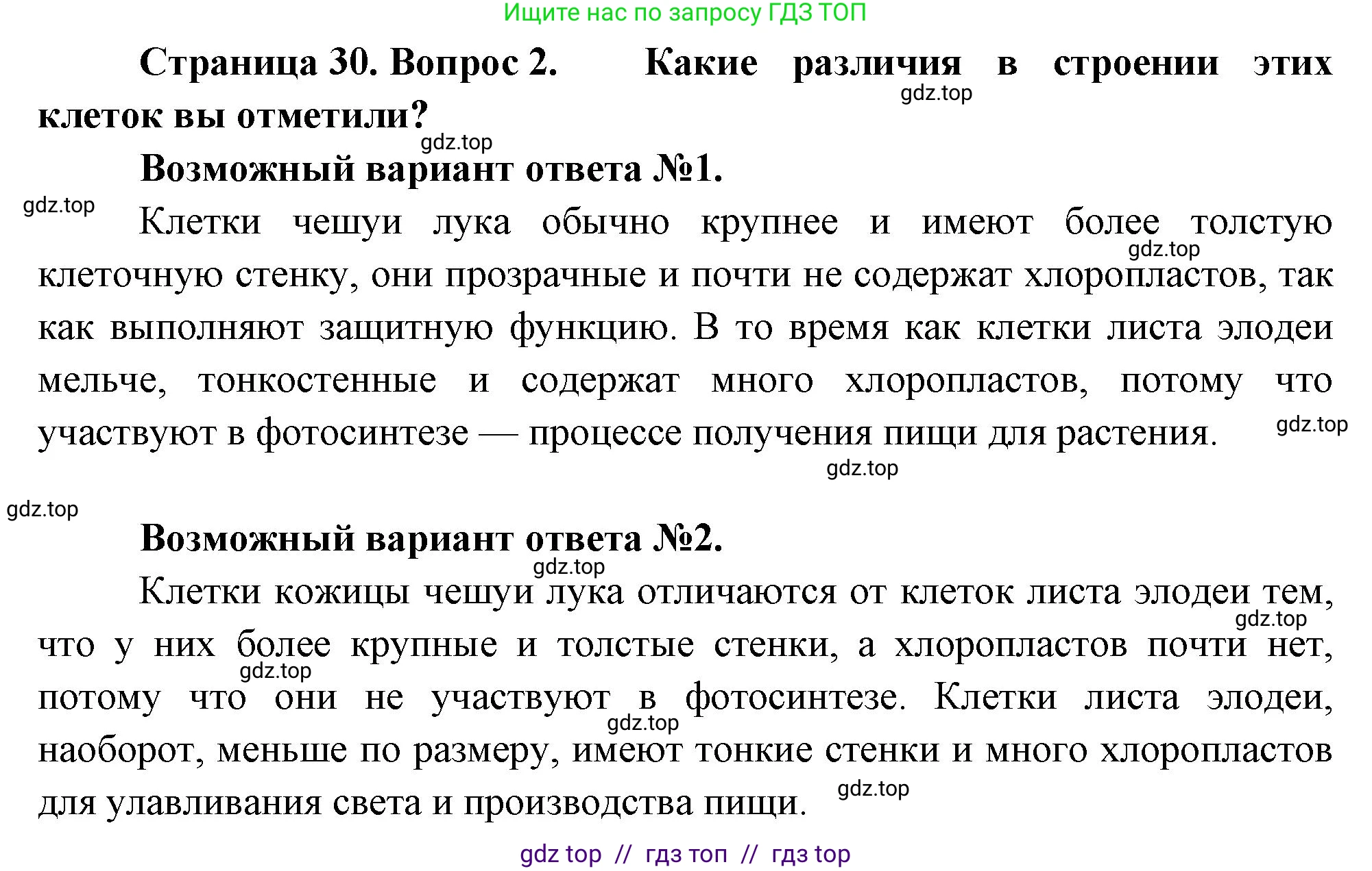 Биология, 6 класс Учебник, авторы: Пасечник Владимир Васильевич, Суматохин Сергей Витальевич, Гапонюк Зоя Георгиевна, Швецов Глеб Геннадьевич, издательство Просвещение, Москва, 2023, белого цвета, страница 30, номер 2, Решение 3