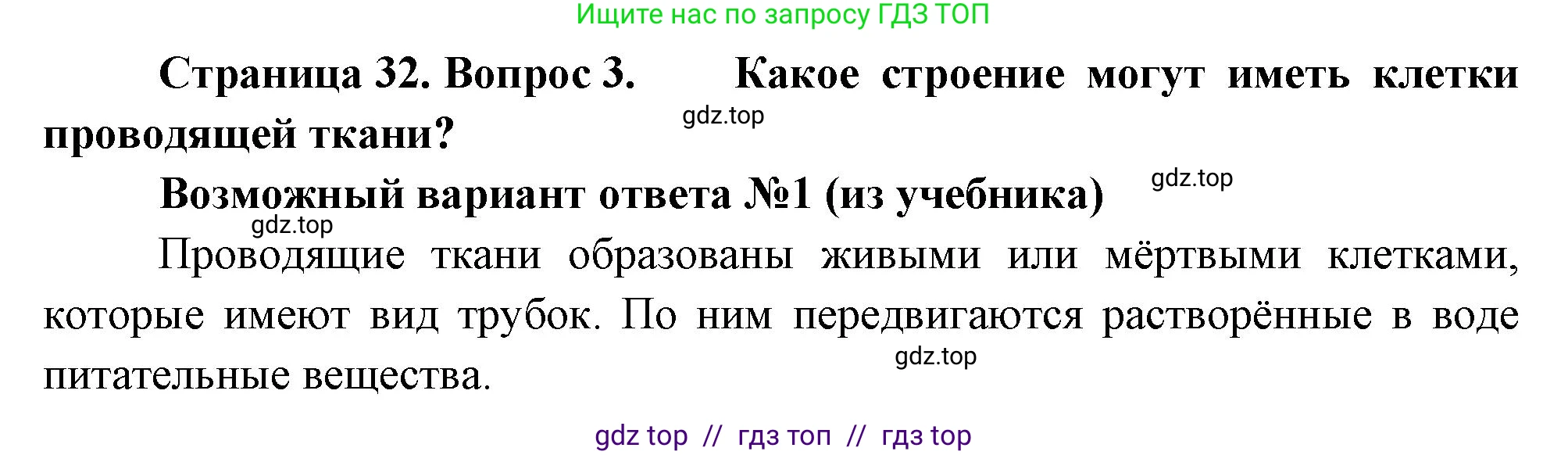 Биология, 6 класс Учебник, авторы: Пасечник Владимир Васильевич, Суматохин Сергей Витальевич, Гапонюк Зоя Георгиевна, Швецов Глеб Геннадьевич, издательство Просвещение, Москва, 2023, белого цвета, страница 32, номер 3, Решение 3